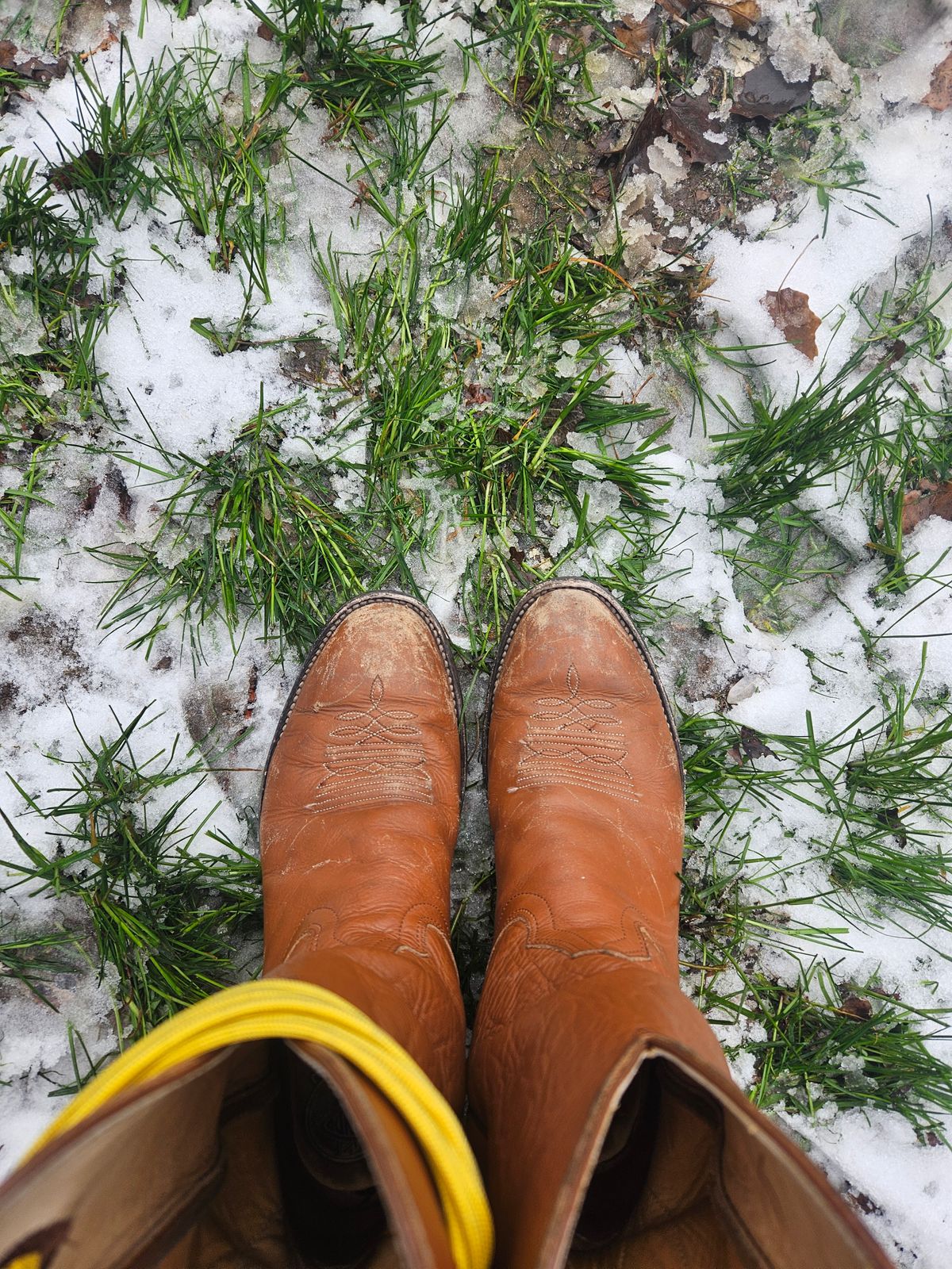 Photo by Jakesleather1505 on December 2, 2025 of the Hondo Boots 7875 in Veg Retan.