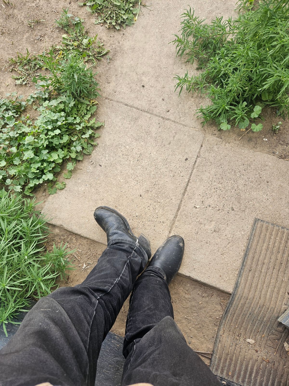 Photo by Jakesleather1505 on June 27, 2025 of the Custom Montana Boot Maker Buckaroo in 3-3.5 mm Black Bullhide With Blue Tops.