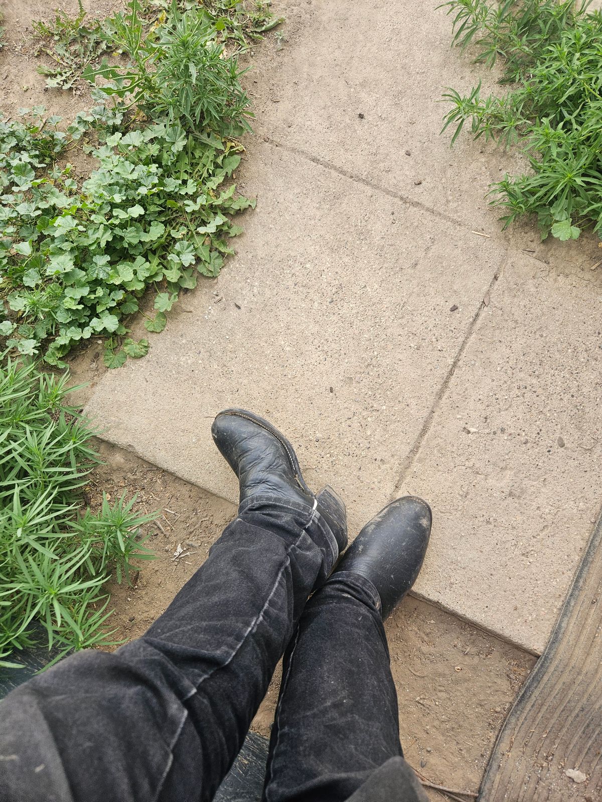 Photo by Jakesleather1505 on June 27, 2025 of the Custom Montana Boot Maker Buckaroo in 3-3.5 mm Black Bullhide With Blue Tops.