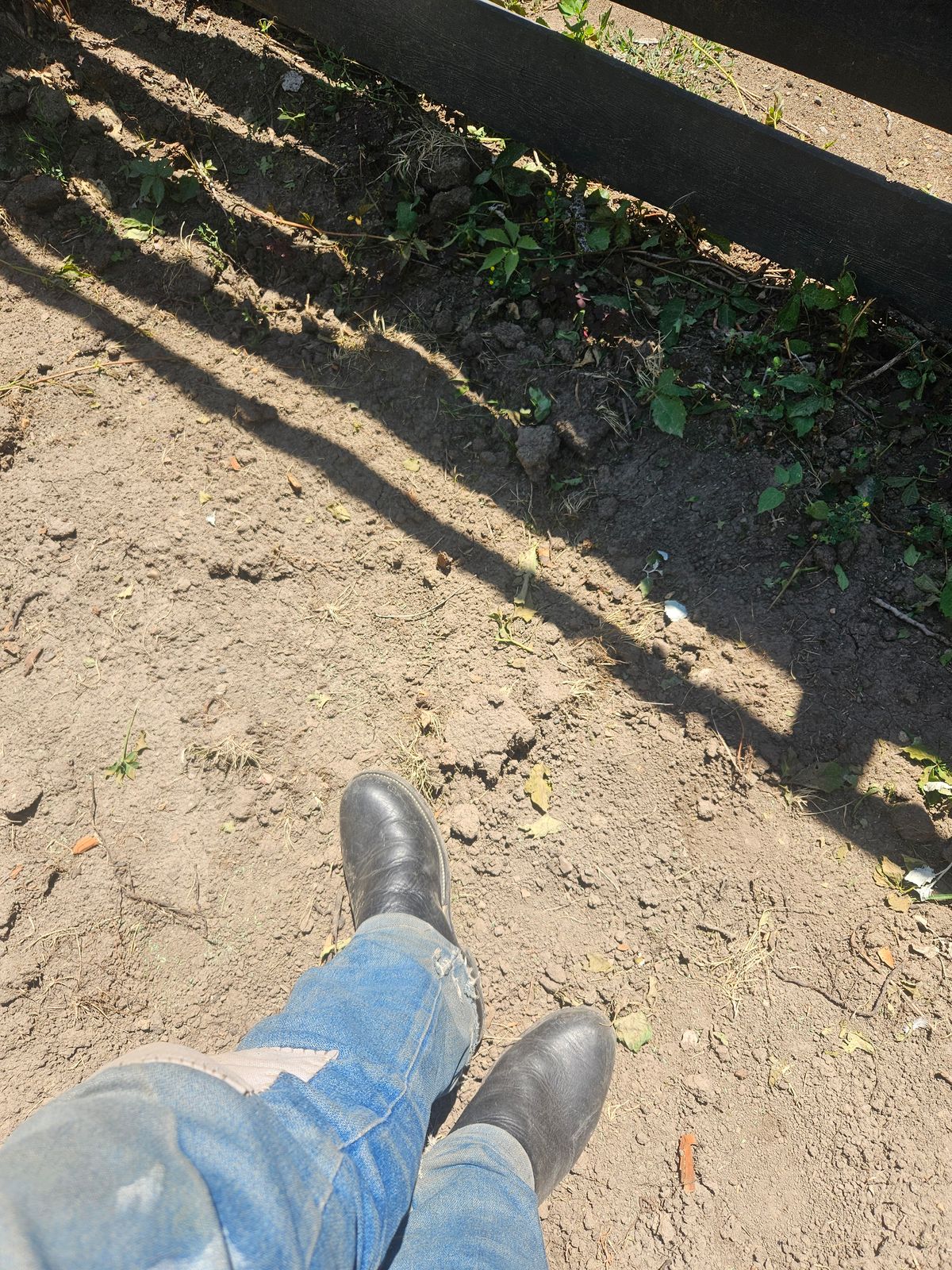 Photo by Jakesleather1505 on July 8, 2025 of the Custom Montana Boot Maker Buckaroo in 3-3.5 mm Black Bullhide With Blue Tops.