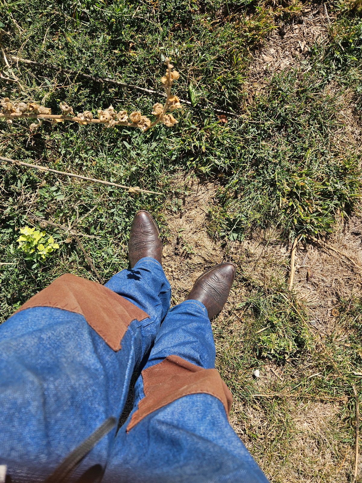 Photo by Jakesleather1505 on September 14, 2024 of the Nocona 6736 in Chocolate Bullhide And Oil Tanned Tops.