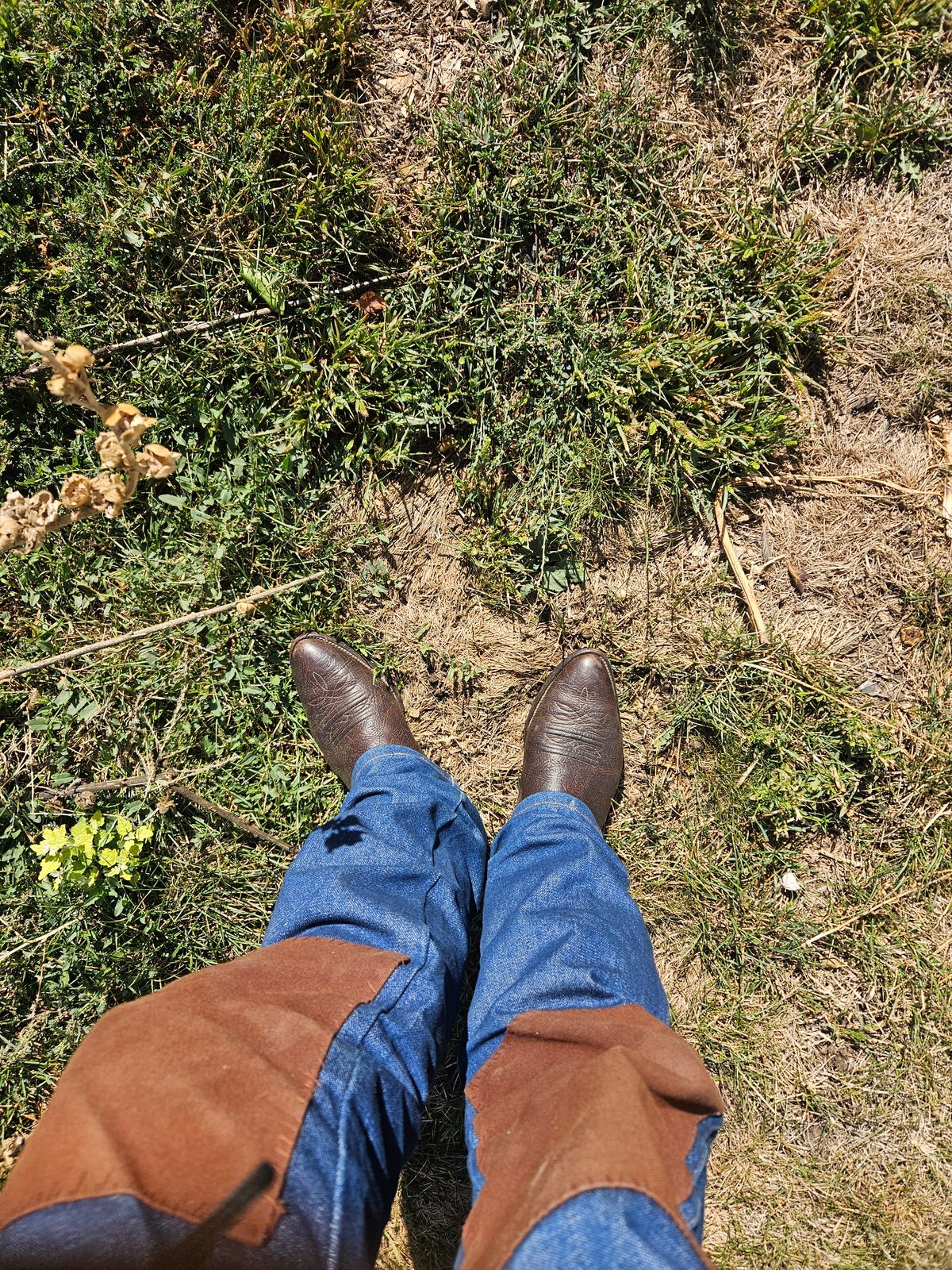 Photo by Jakesleather1505 on September 14, 2024 of the Nocona 6736 in Chocolate Bullhide And Oil Tanned Tops.