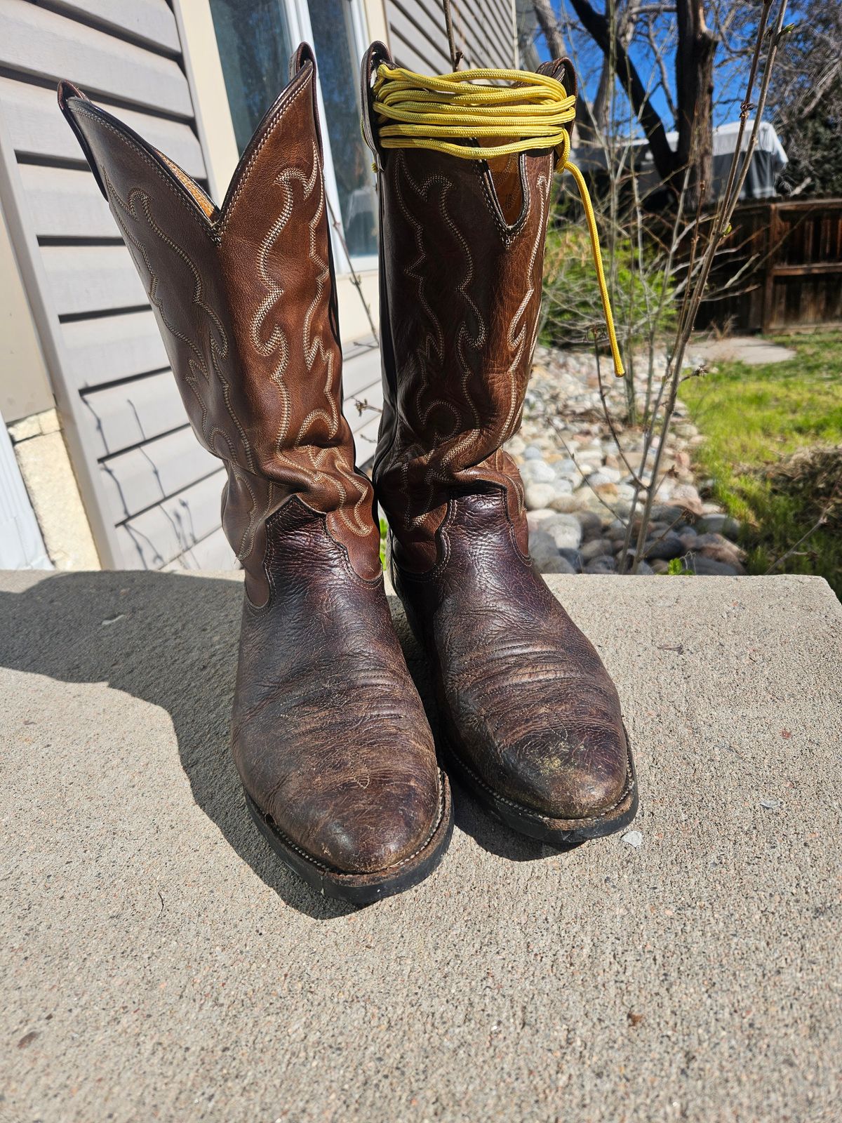Photo by Jakesleather1505 on May 2, 2025 of the Nocona 6736 in Chocolate Bullhide And Oil Tanned Tops.