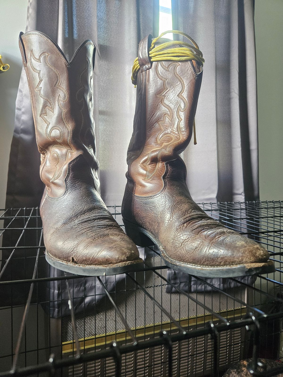 Photo by Jakesleather1505 on May 8, 2025 of the Nocona 6736 in Chocolate Bullhide And Oil Tanned Tops.