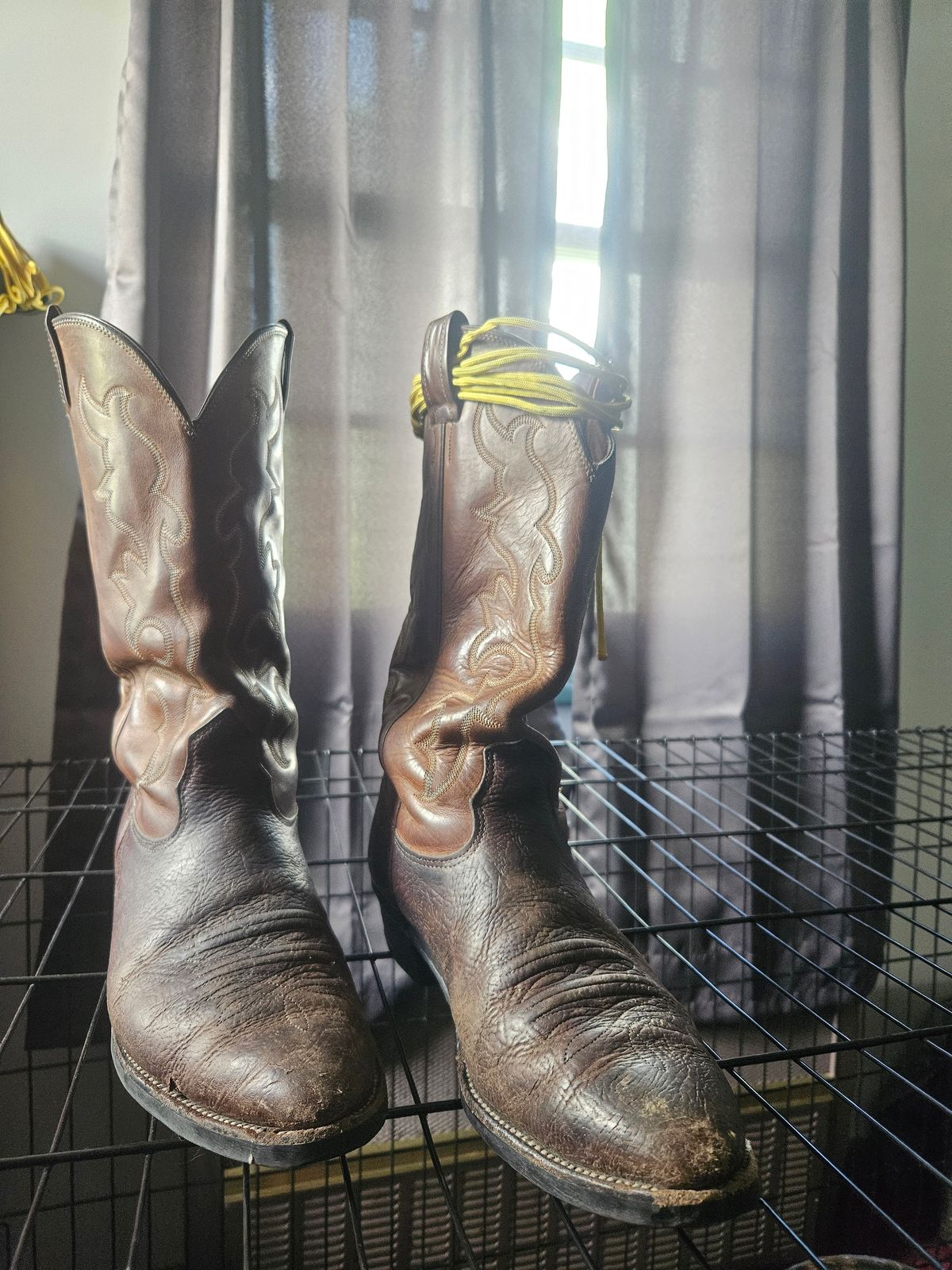 Photo by Jakesleather1505 on May 8, 2025 of the Nocona 6736 in Chocolate Bullhide And Oil Tanned Tops.