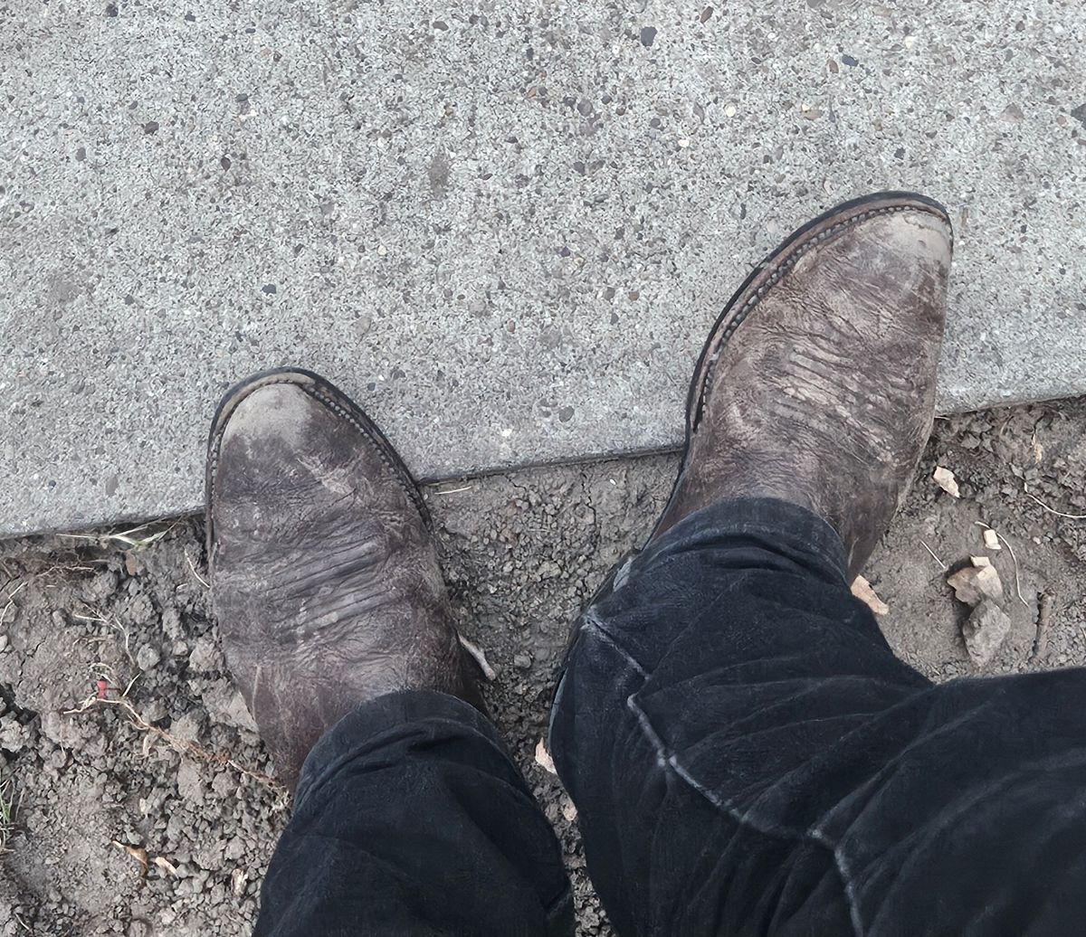 Photo by Jakesleather1505 on July 5, 2025 of the Nocona 6736 in Chocolate Bullhide And Oil Tanned Tops.