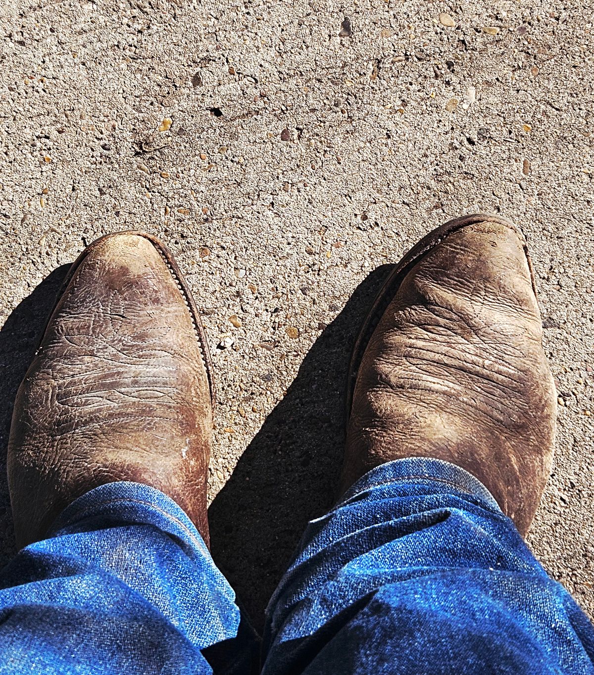 Photo by Jakesleather1505 on July 6, 2025 of the Nocona 6736 in Chocolate Bullhide And Oil Tanned Tops.