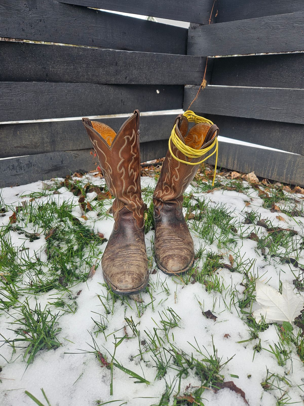 Photo by Jakesleather1505 on December 2, 2025 of the Nocona 6736 in Chocolate Bullhide And Oil Tanned Tops.