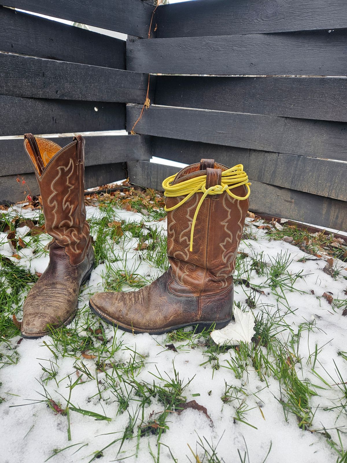 Photo by Jakesleather1505 on December 2, 2025 of the Nocona 6736 in Chocolate Bullhide And Oil Tanned Tops.