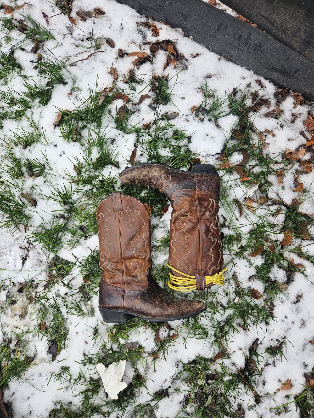 Photo by Jakesleather1505 on December 2, 2025 of the Nocona 6736 in Chocolate Bullhide And Oil Tanned Tops.