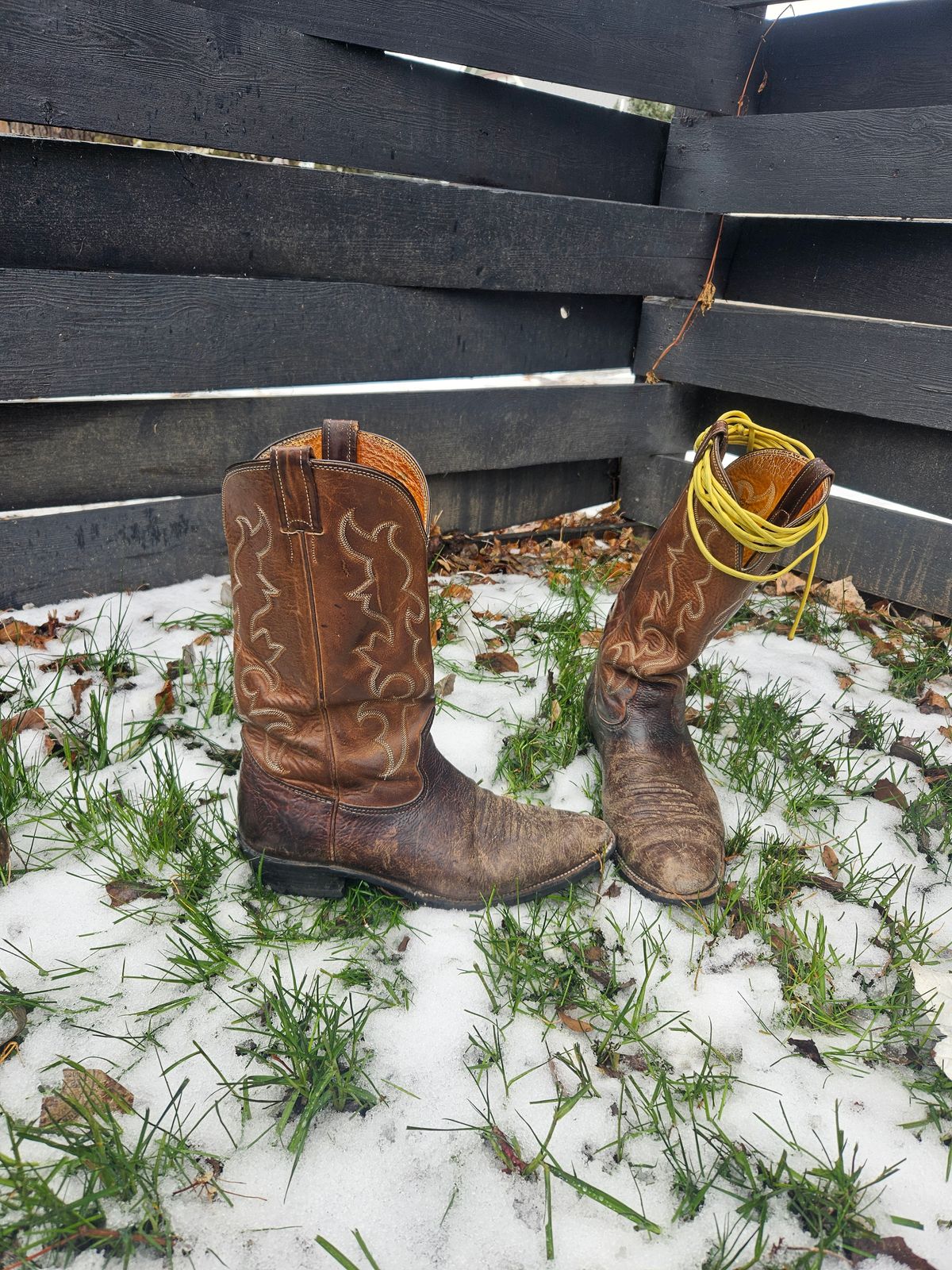 Photo by Jakesleather1505 on December 2, 2025 of the Nocona 6736 in Chocolate Bullhide And Oil Tanned Tops.