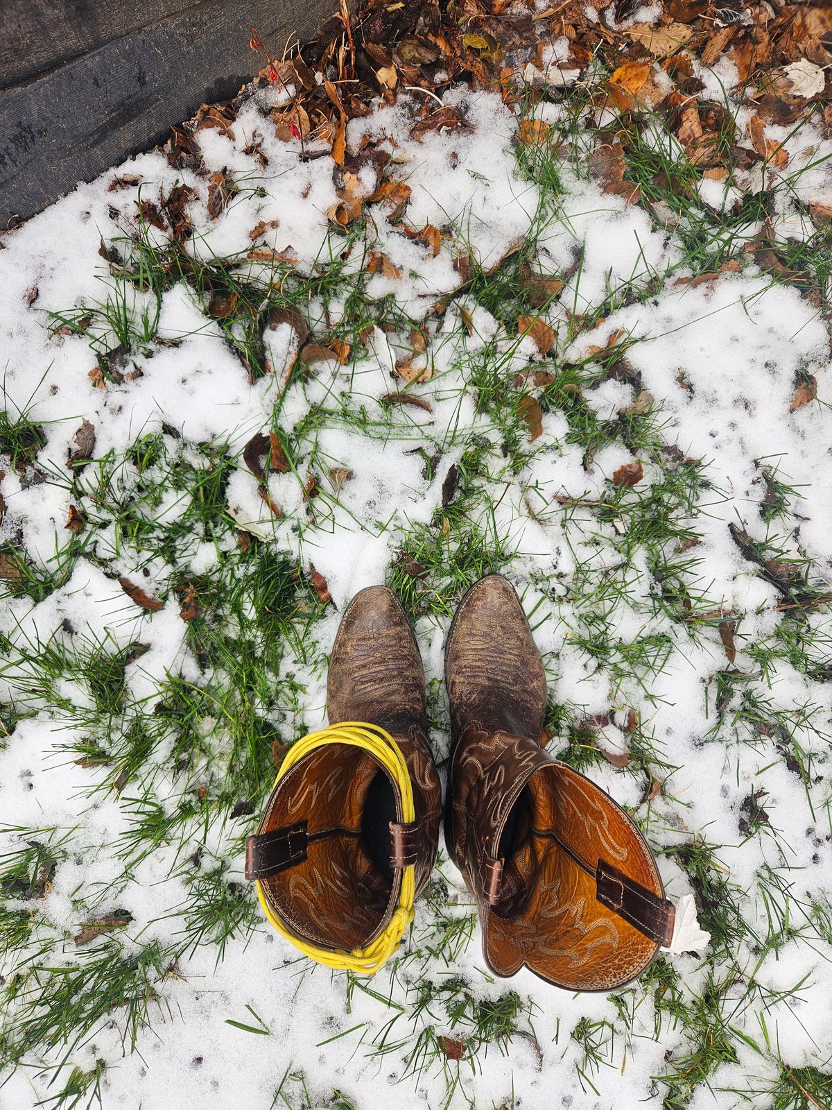 Photo by Jakesleather1505 on December 2, 2025 of the Nocona 6736 in Chocolate Bullhide And Oil Tanned Tops.