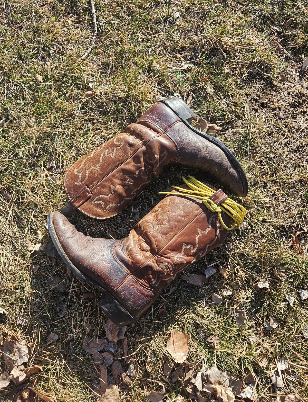 Photo by Jakesleather1505 on February 3, 2026 of the Nocona 6736 in Chocolate Bullhide And Oil Tanned Tops.