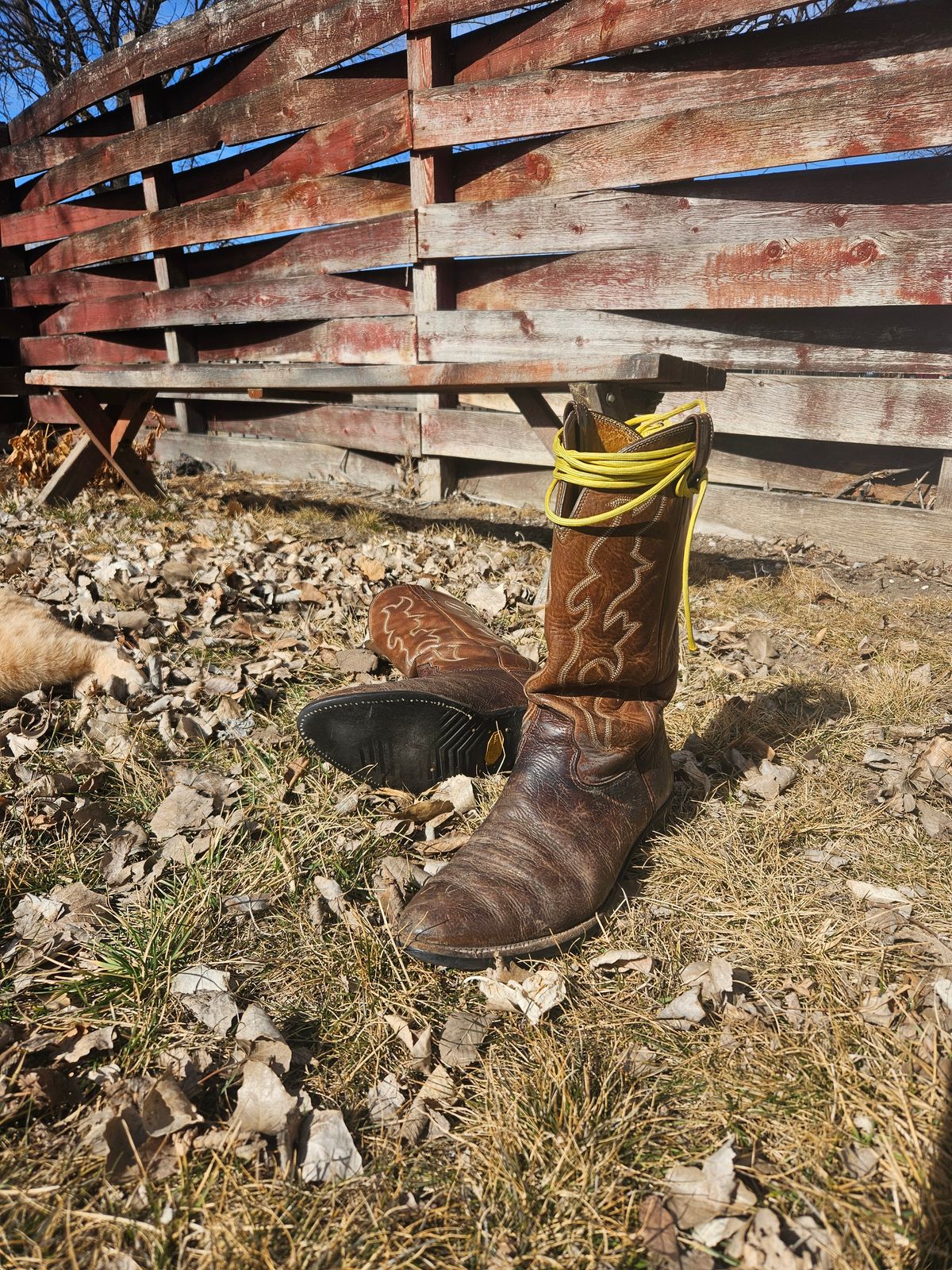 Photo by Jakesleather1505 on March 3, 2026 of the Nocona 6736 in Chocolate Bullhide And Oil Tanned Tops.