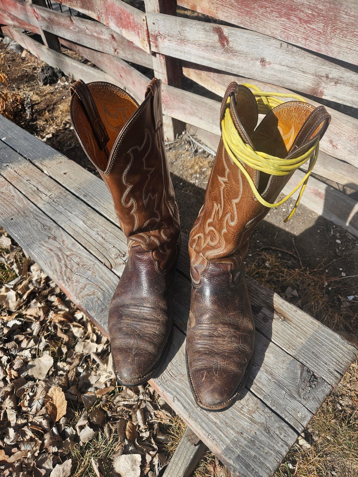 Photo by Jakesleather1505 on March 3, 2026 of the Nocona 6736 in Chocolate Bullhide And Oil Tanned Tops.