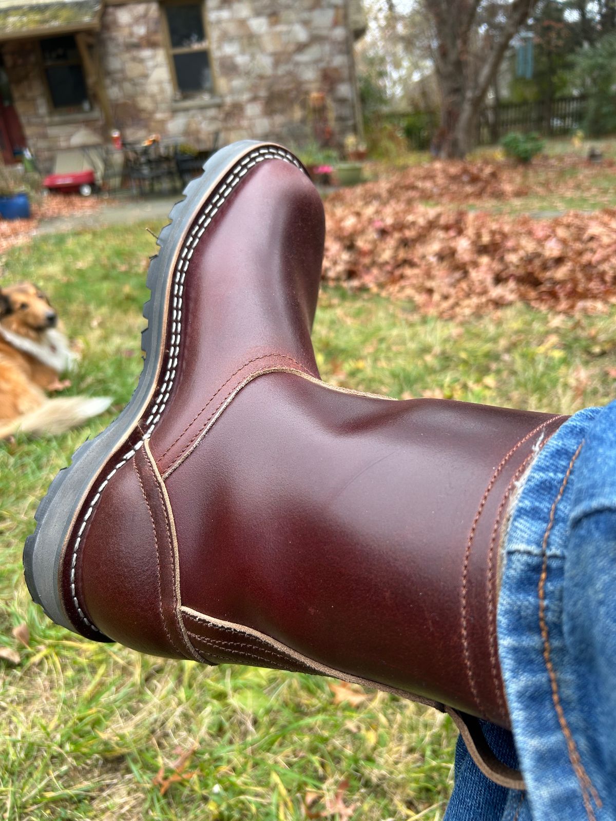 Photo by pkwhy on November 15, 2025 of the Nicks Welllington in Horween Tan Waxed Flesh.