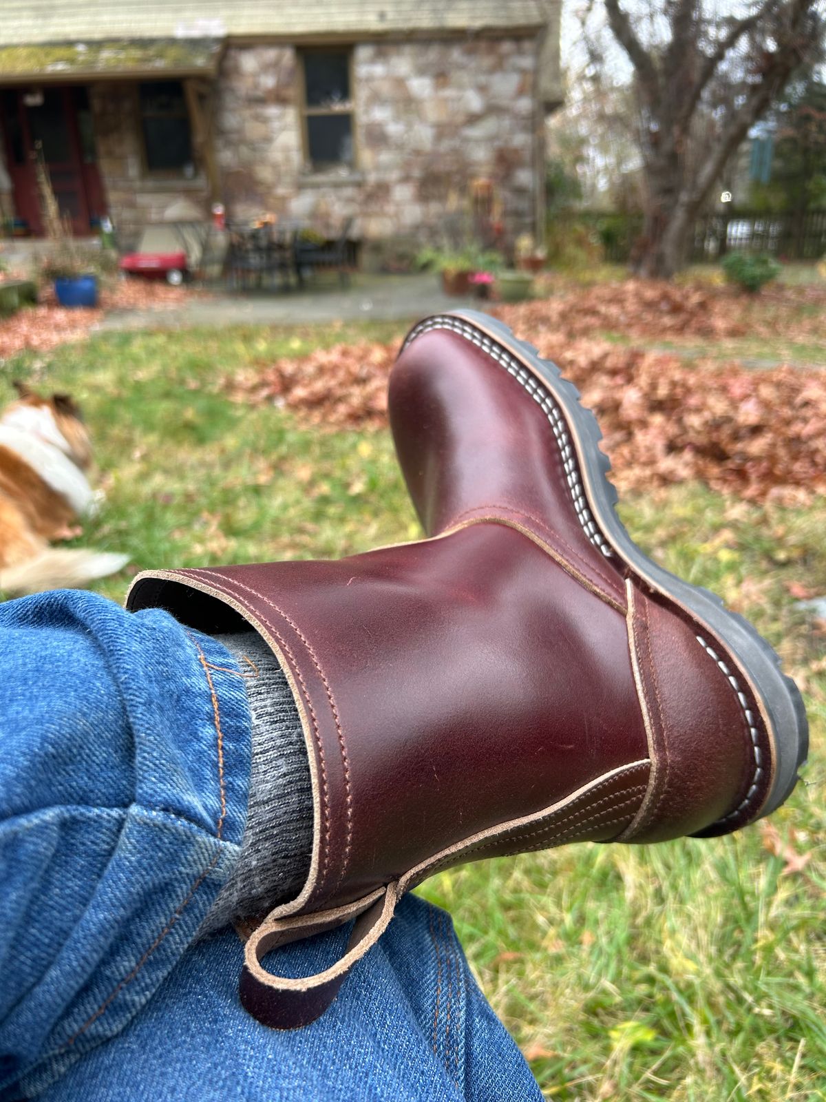 Photo by pkwhy on November 15, 2025 of the Nicks Welllington in Horween Tan Waxed Flesh.