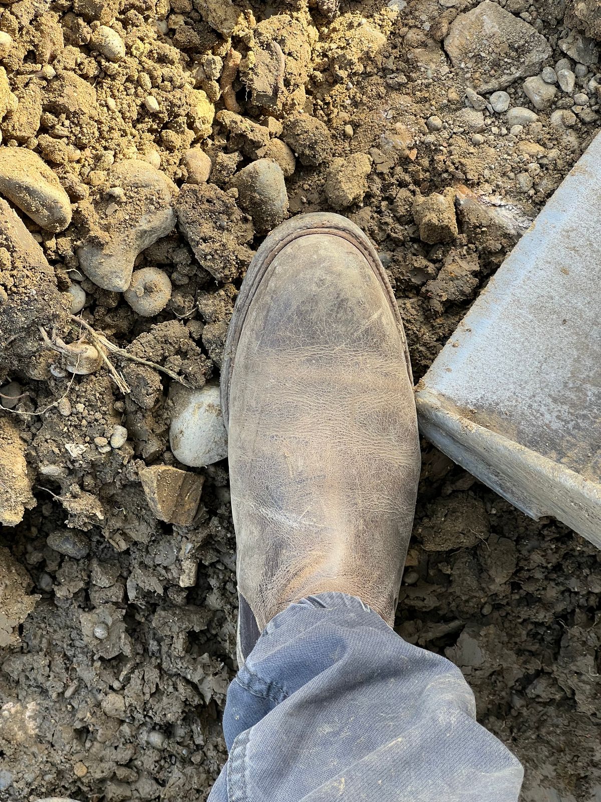 Photo by Florianfloorwalker on March 5, 2026 of the Meermin Chelsea Boot in C.F. Stead Gaucho Waxy Kudu.