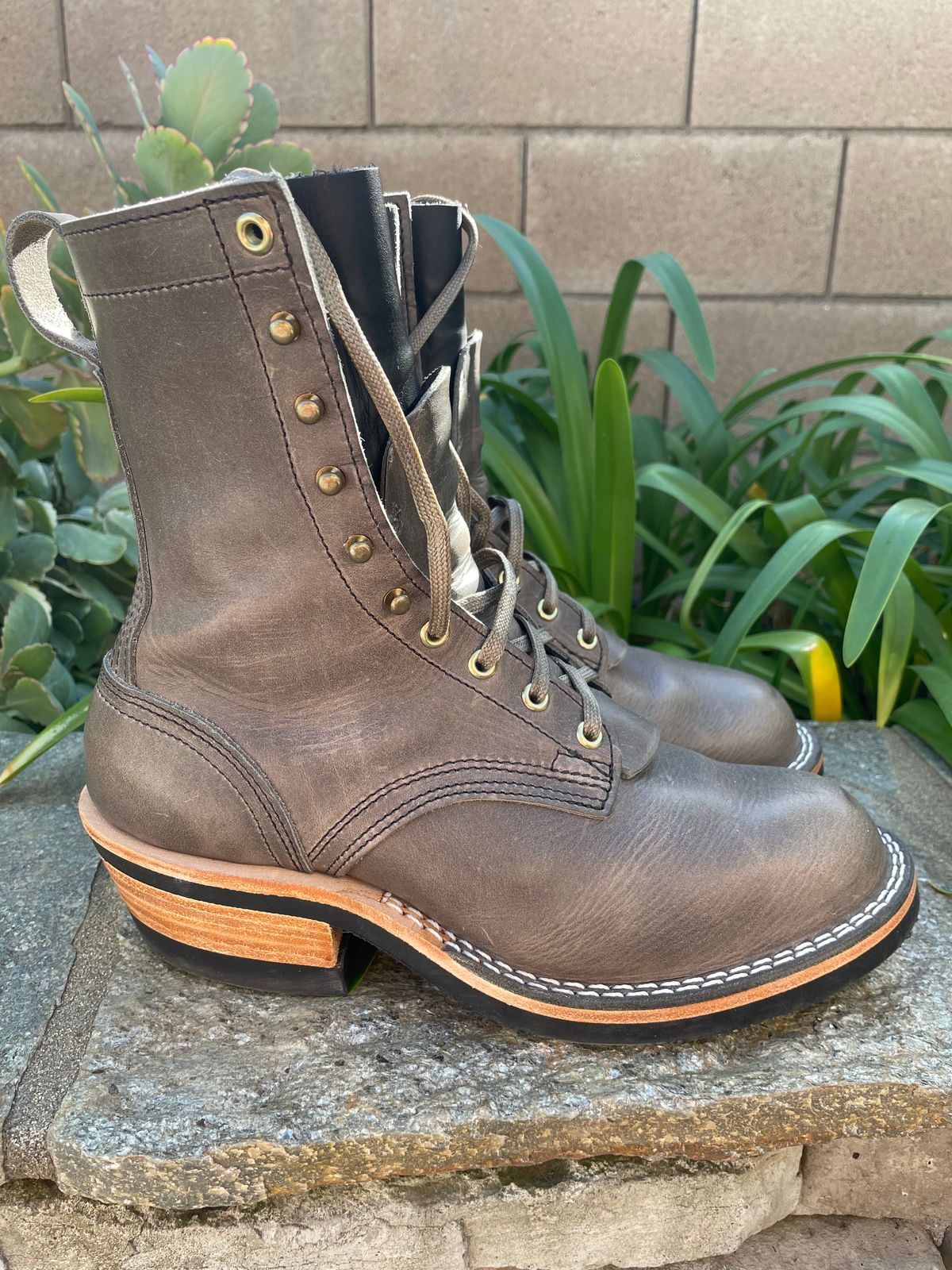 Photo by OwnedKetchup on November 3, 2025 of the Nicks DomePro in Cypress Light Grey.