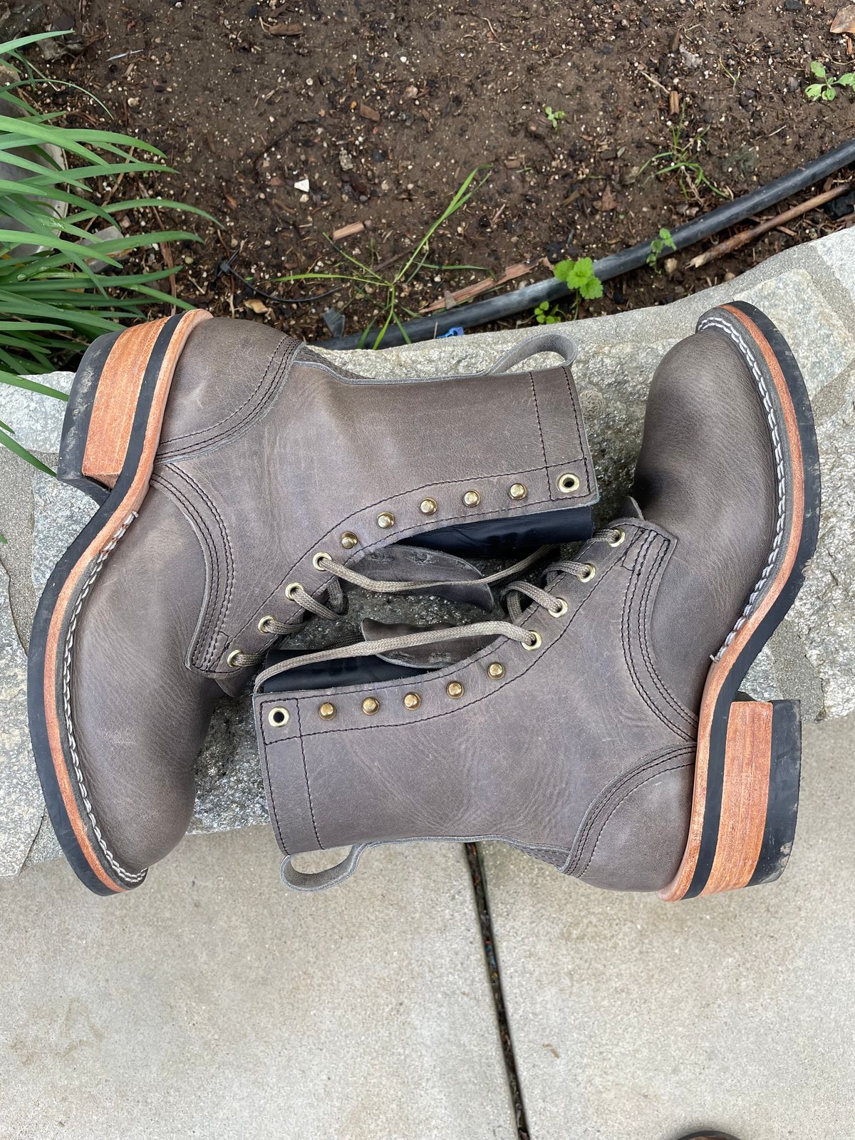 Photo by OwnedKetchup on January 5, 2026 of the Nicks DomePro in Cypress Light Grey.