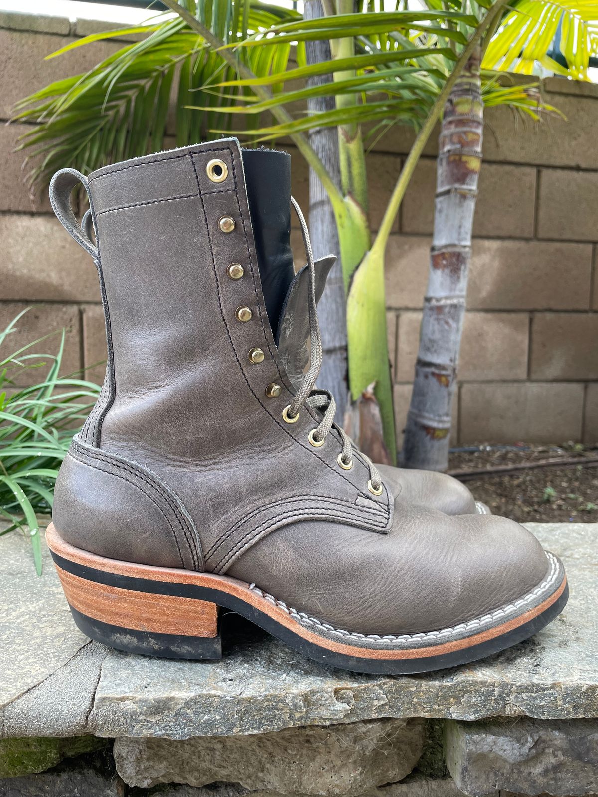 Photo by OwnedKetchup on January 5, 2026 of the Nicks DomePro in Cypress Light Grey.