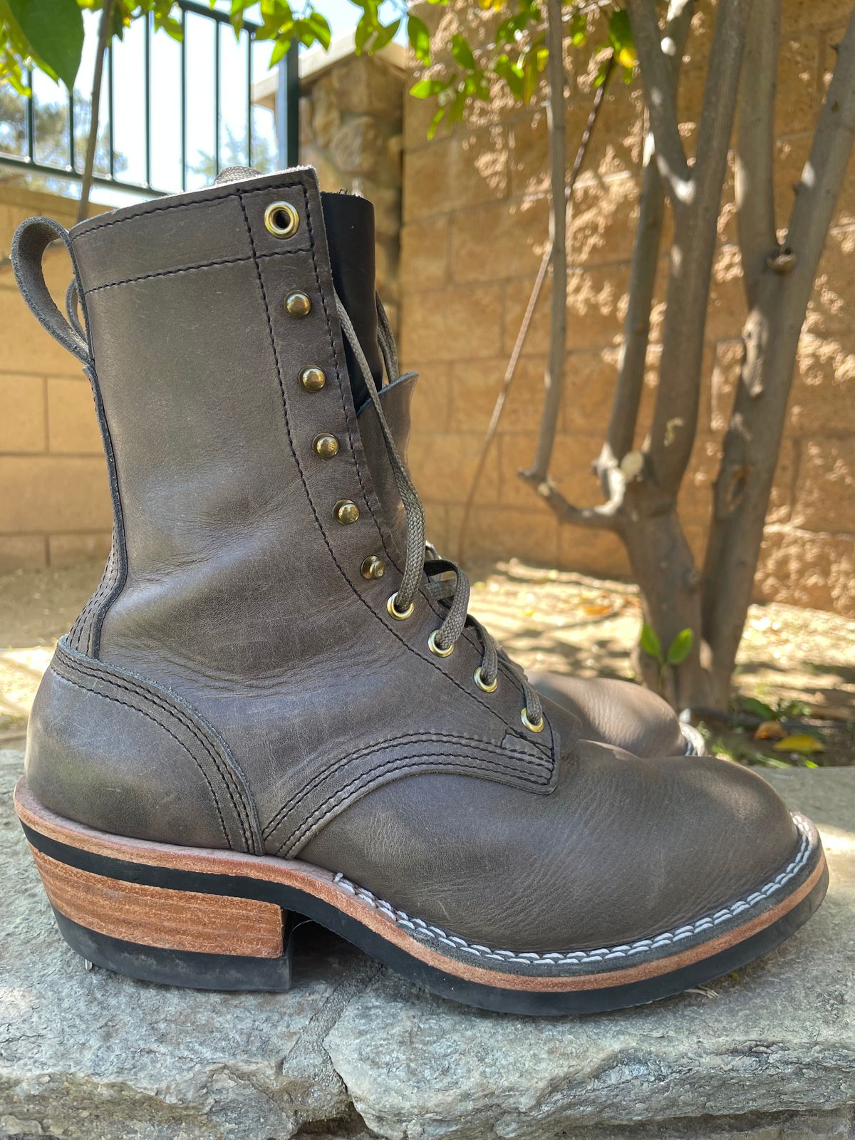 Photo by OwnedKetchup on March 5, 2026 of the Nicks DomePro in Cypress Light Grey.