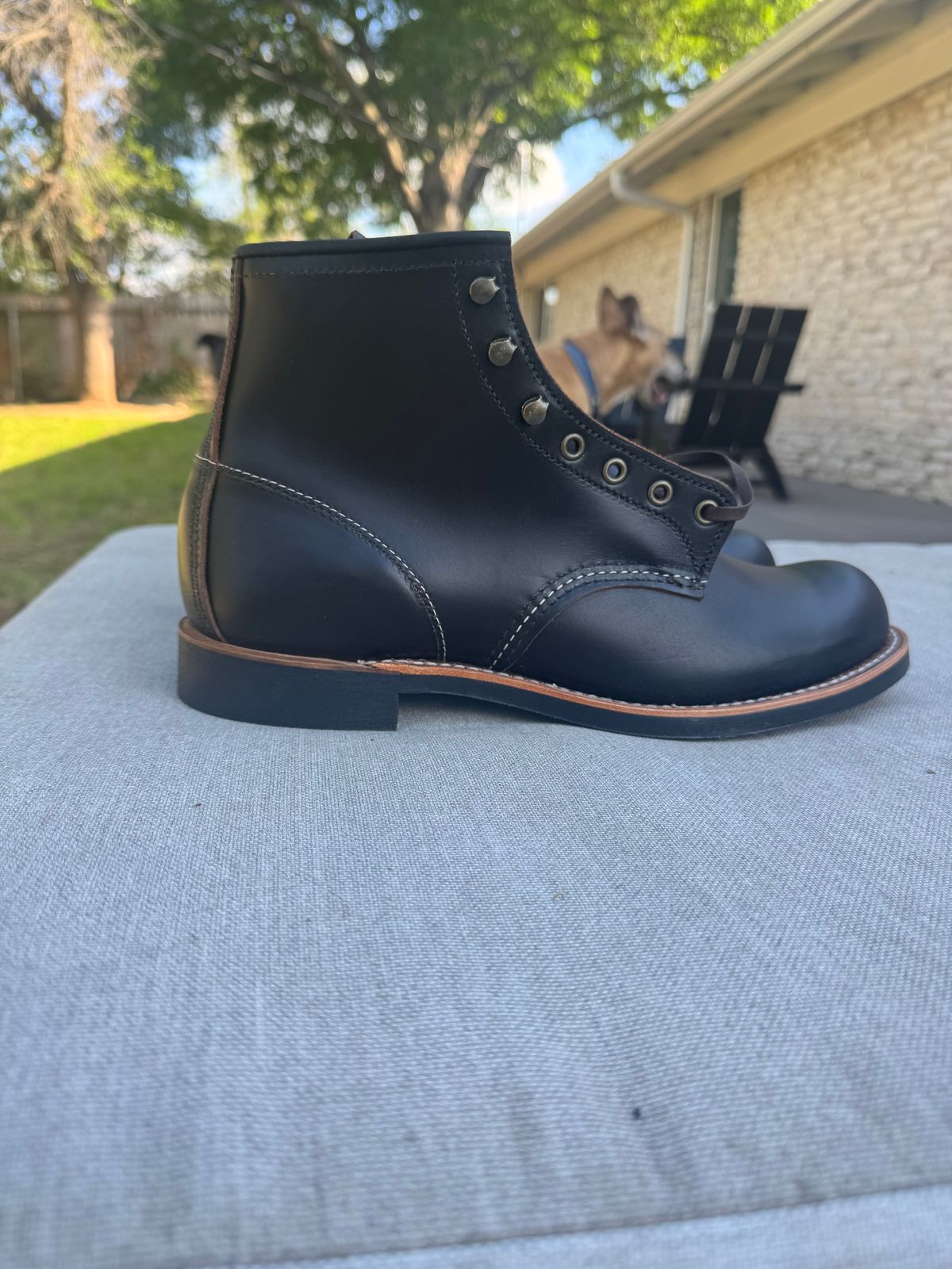 Photo by Jwilliams on April 8, 2026 of the Red Wing Blacksmith in S.B. Foot Black Prairie.