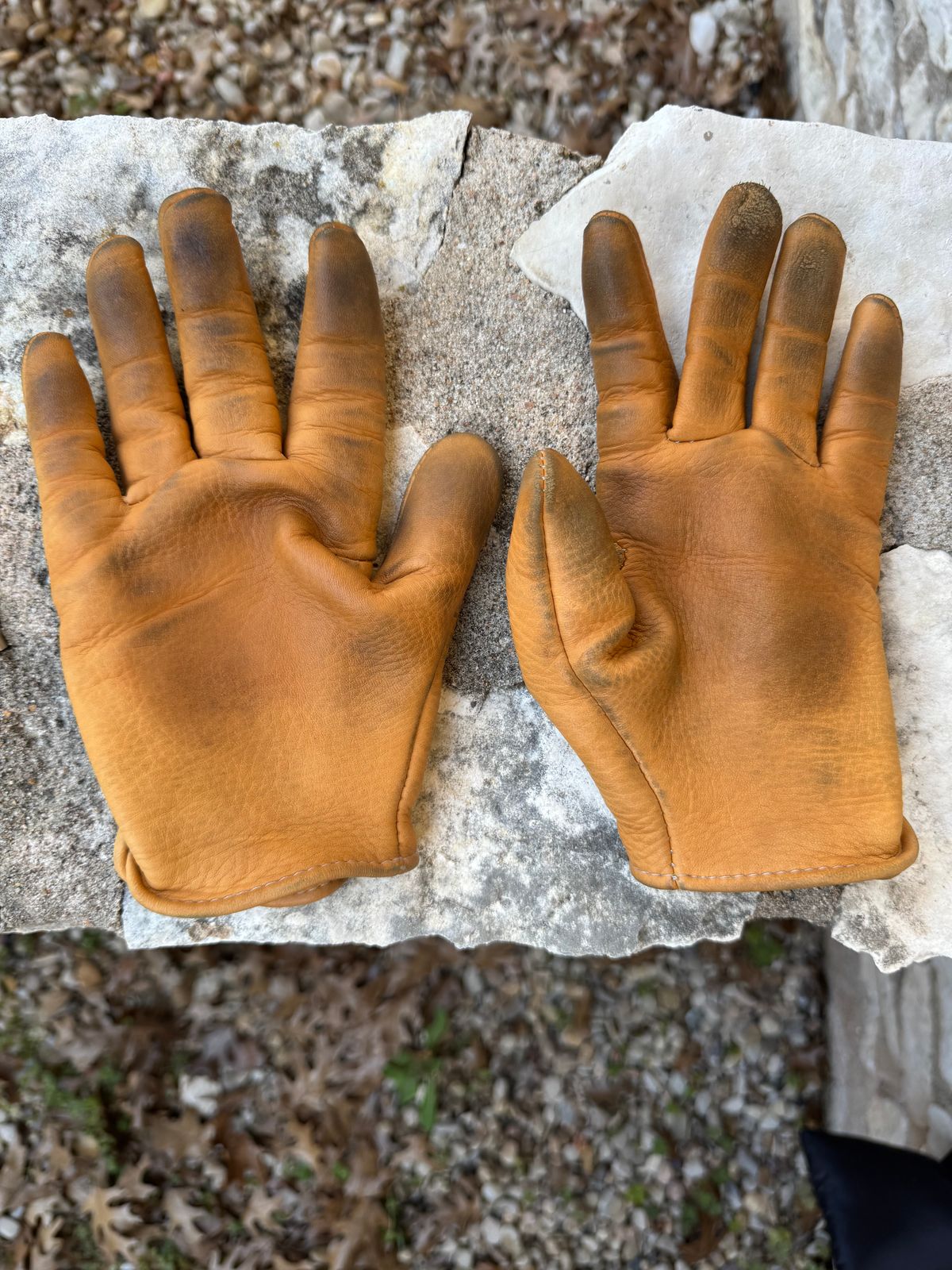 Photo by Jwilliams on February 2, 2026 of the Sullivan Glove Co. Deerskin Shorty in Saddle Tan Deerskin.