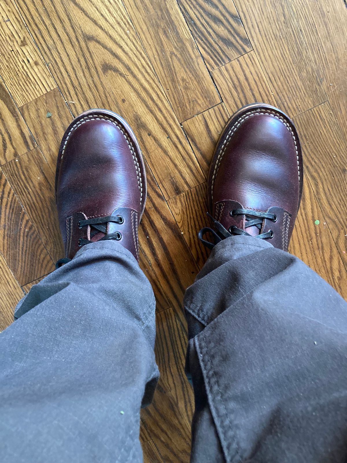 Photo by shutterblind1393 on April 18, 2026 of the Nicks Ivan in Cypress no. 8.