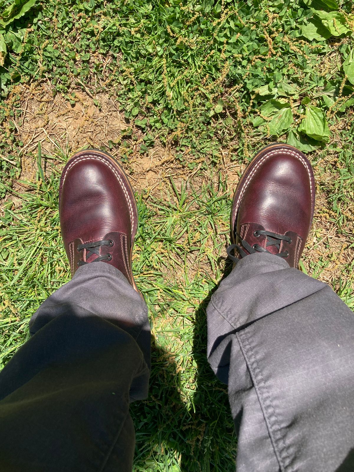 Photo by shutterblind1393 on April 18, 2026 of the Nicks Ivan in Cypress no. 8.