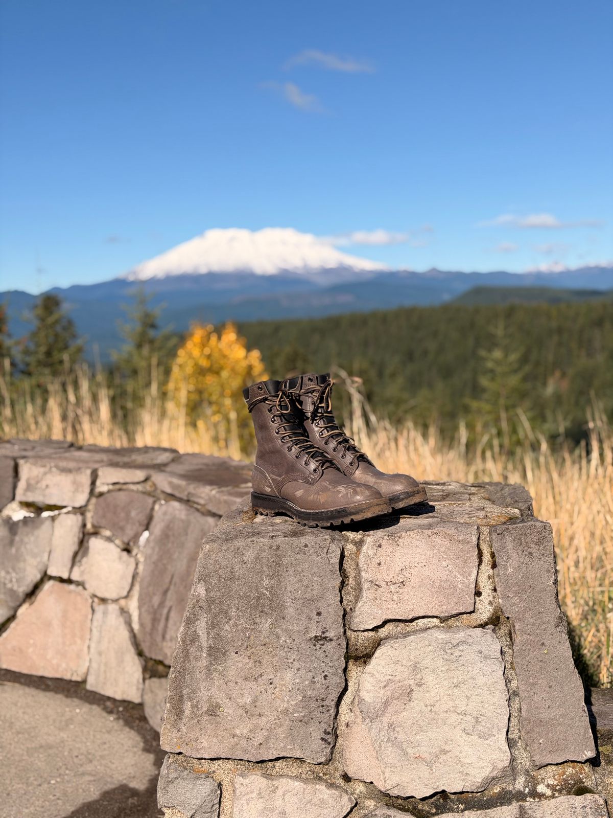 Photo by Termsxofxuse on October 13, 2025 of the Nicks DomePro in Cypress Light Gray.