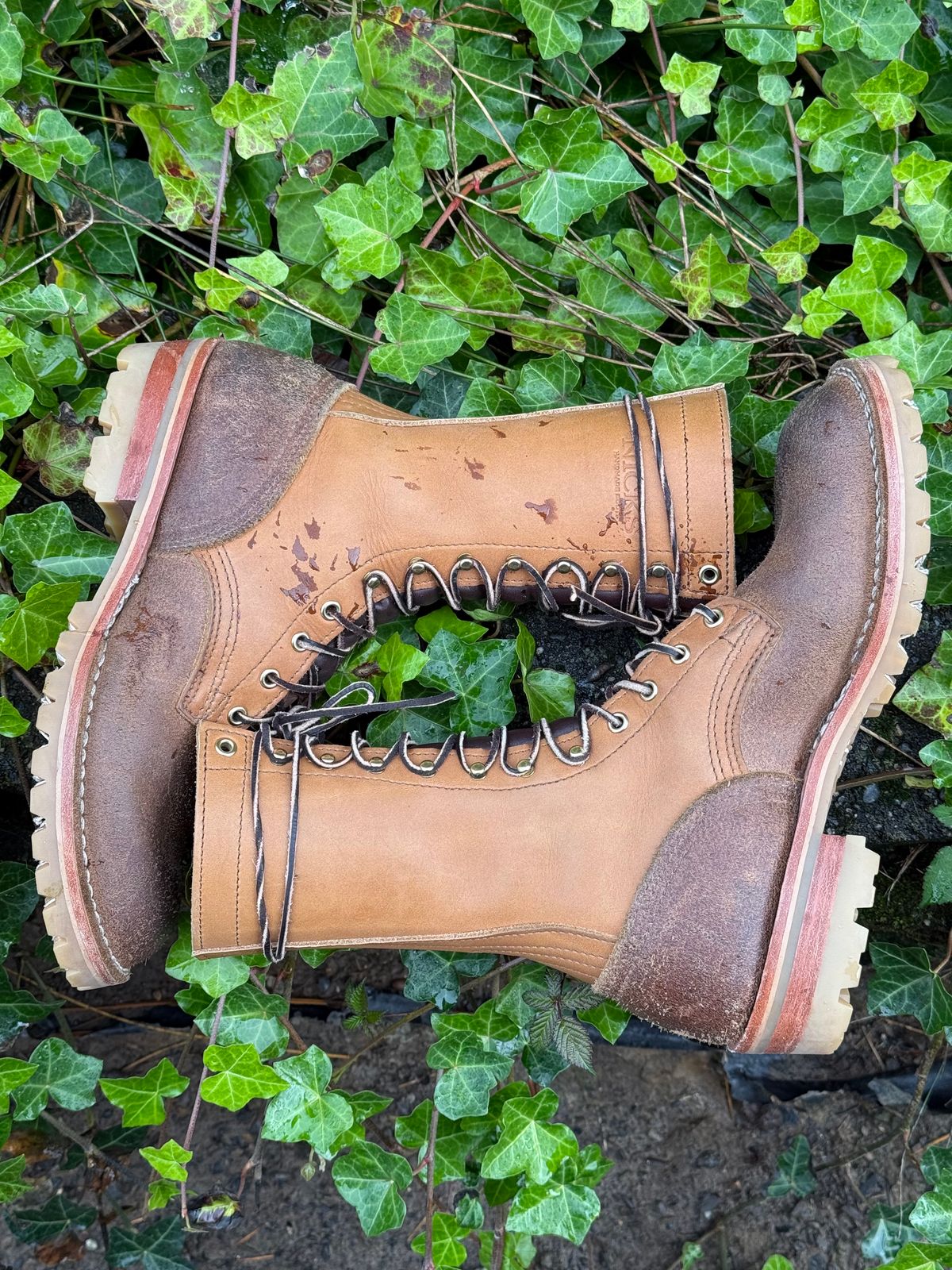 Photo by Termsxofxuse on November 1, 2024 of the Nicks DomePro in Seidel 1964 Tan & Seidel 1964 Tan Roughout.