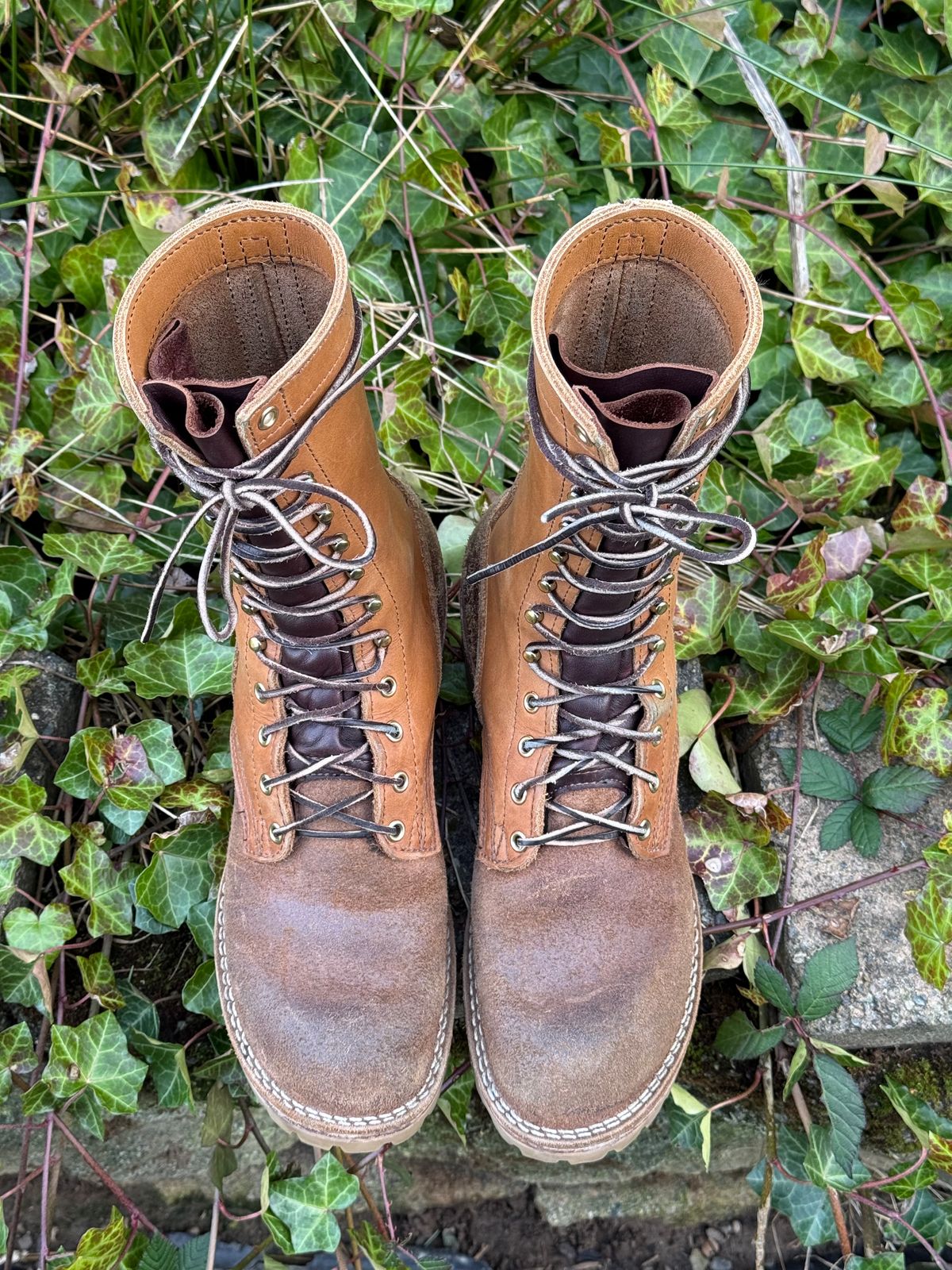 Photo by Termsxofxuse on March 6, 2025 of the Nicks DomePro in Seidel 1964 Tan & Seidel 1964 Tan Roughout.