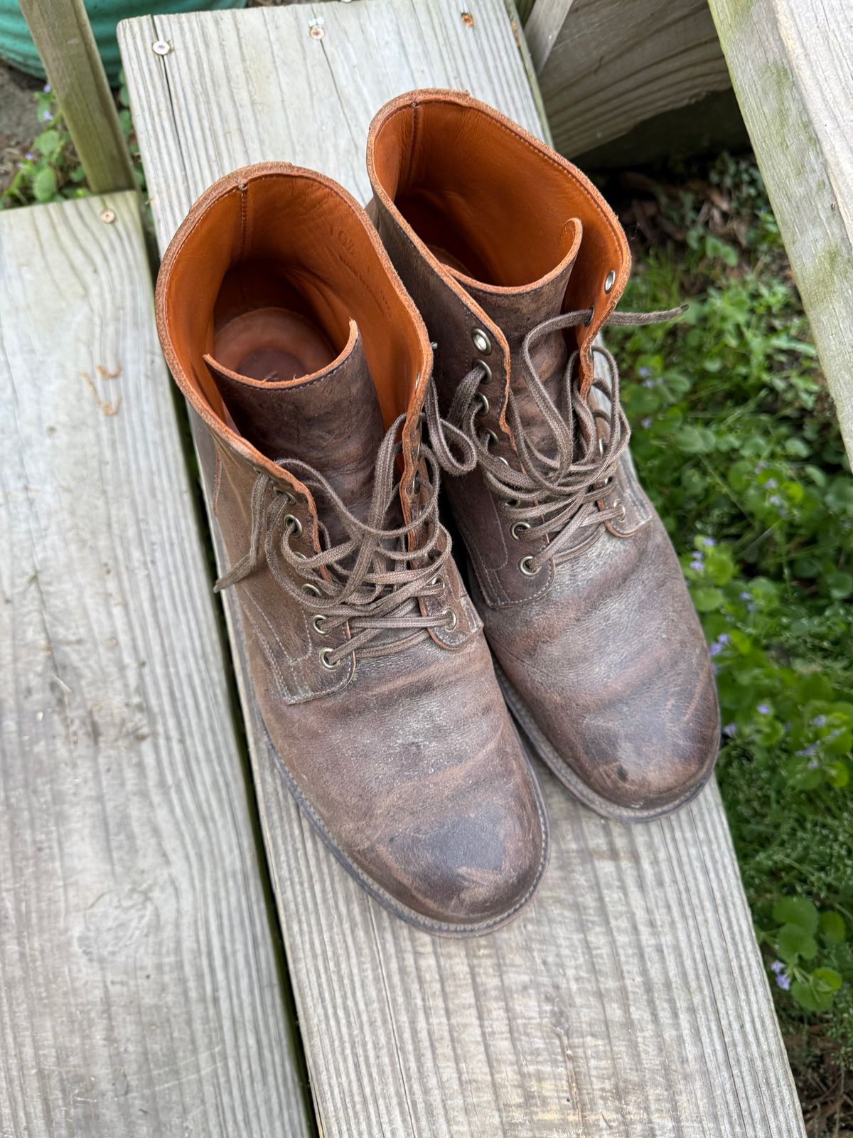 Photo by peckinpaws on April 6, 2026 of the Viberg Service Boot in C.F. Stead Zulu Waxed Kudu.
