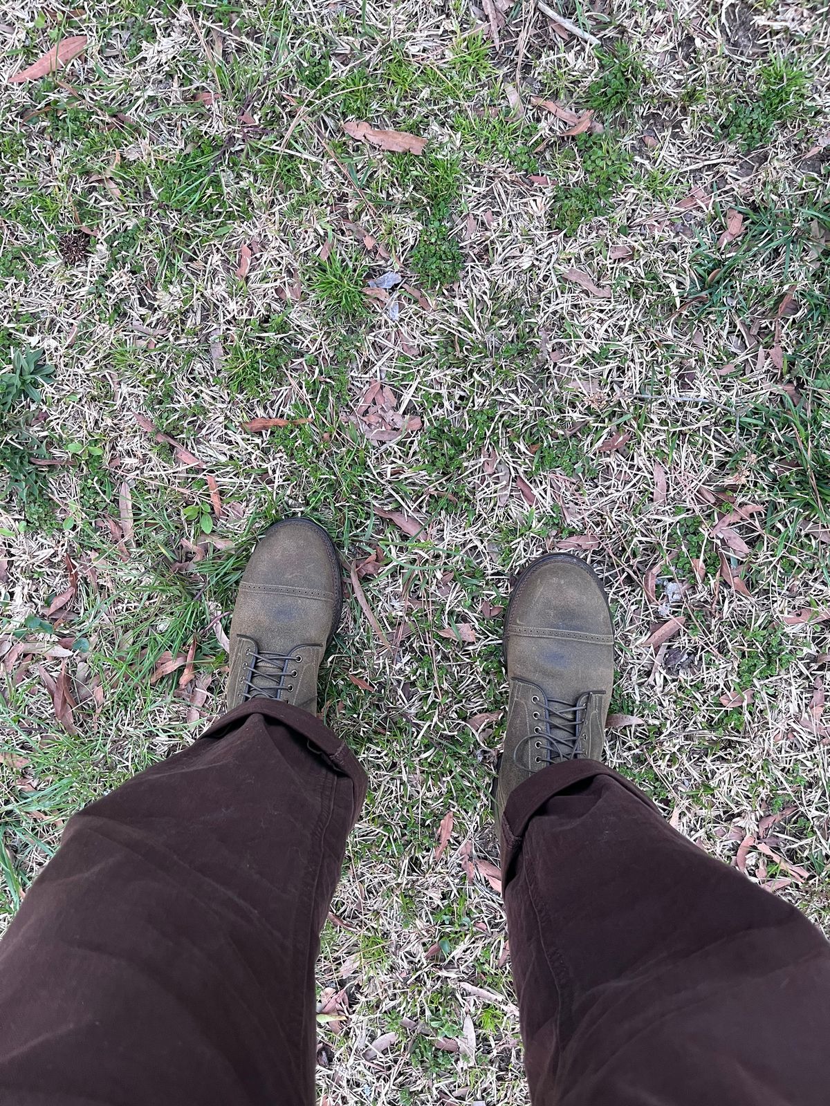 Photo by peckinpaws on March 19, 2025 of the Viberg Service Boot in C.F. Stead Mojave Waxy Commander.