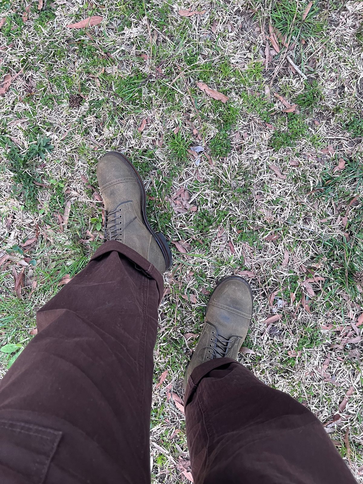 Photo by peckinpaws on March 19, 2025 of the Viberg Service Boot in C.F. Stead Mojave Waxy Commander.