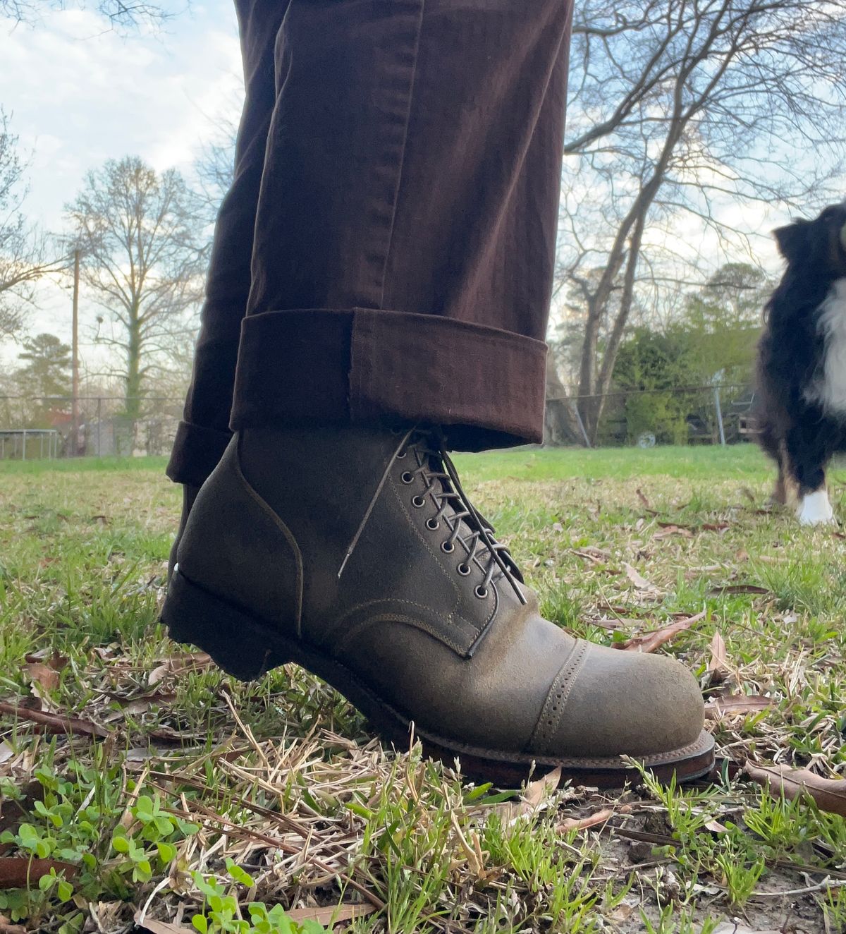 Photo by peckinpaws on March 19, 2025 of the Viberg Service Boot in C.F. Stead Mojave Waxy Commander.