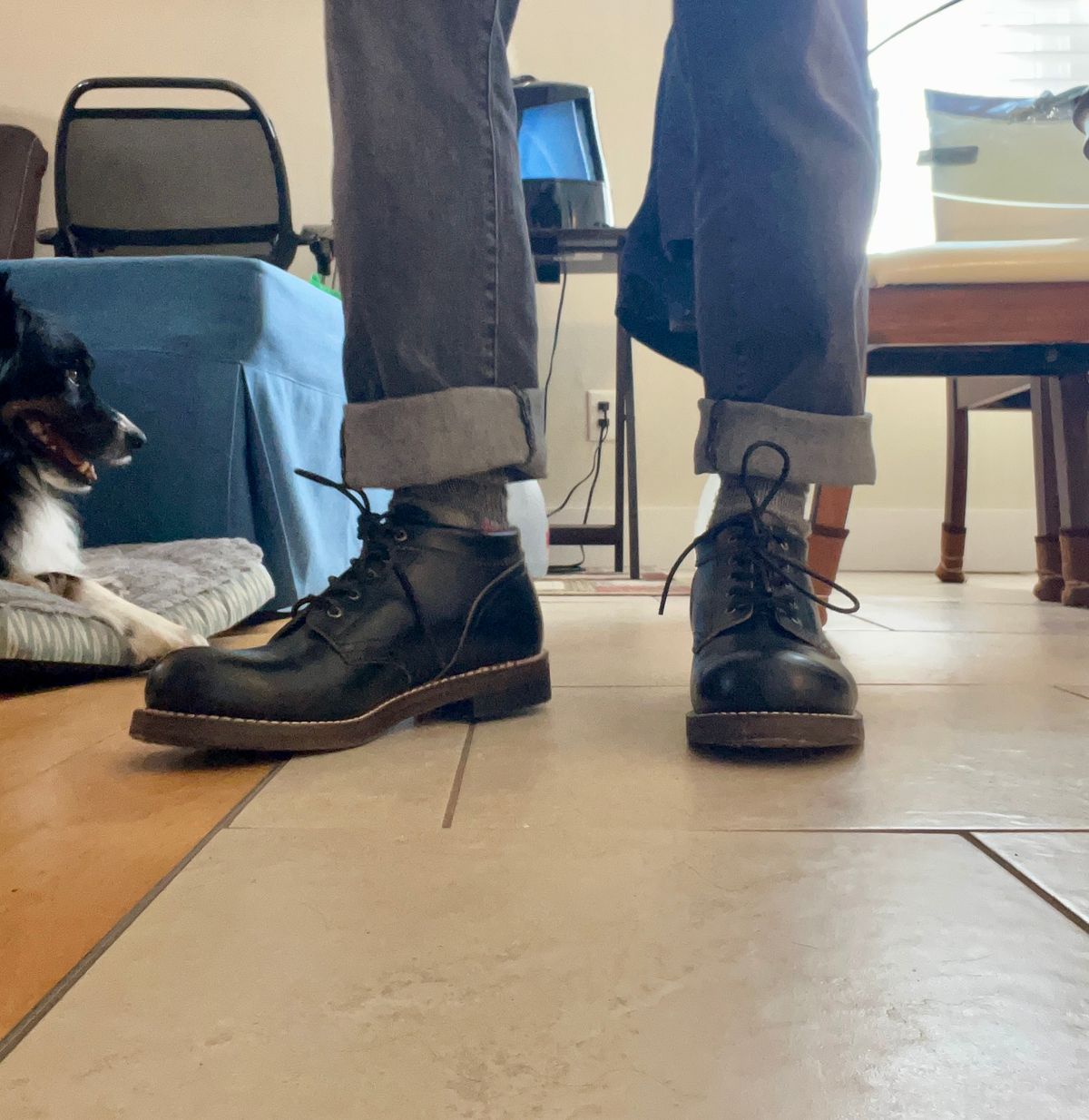 Photo by peckinpaws on March 21, 2025 of the Rolling Dub Trio Coupen in Horween Black Chromexcel.