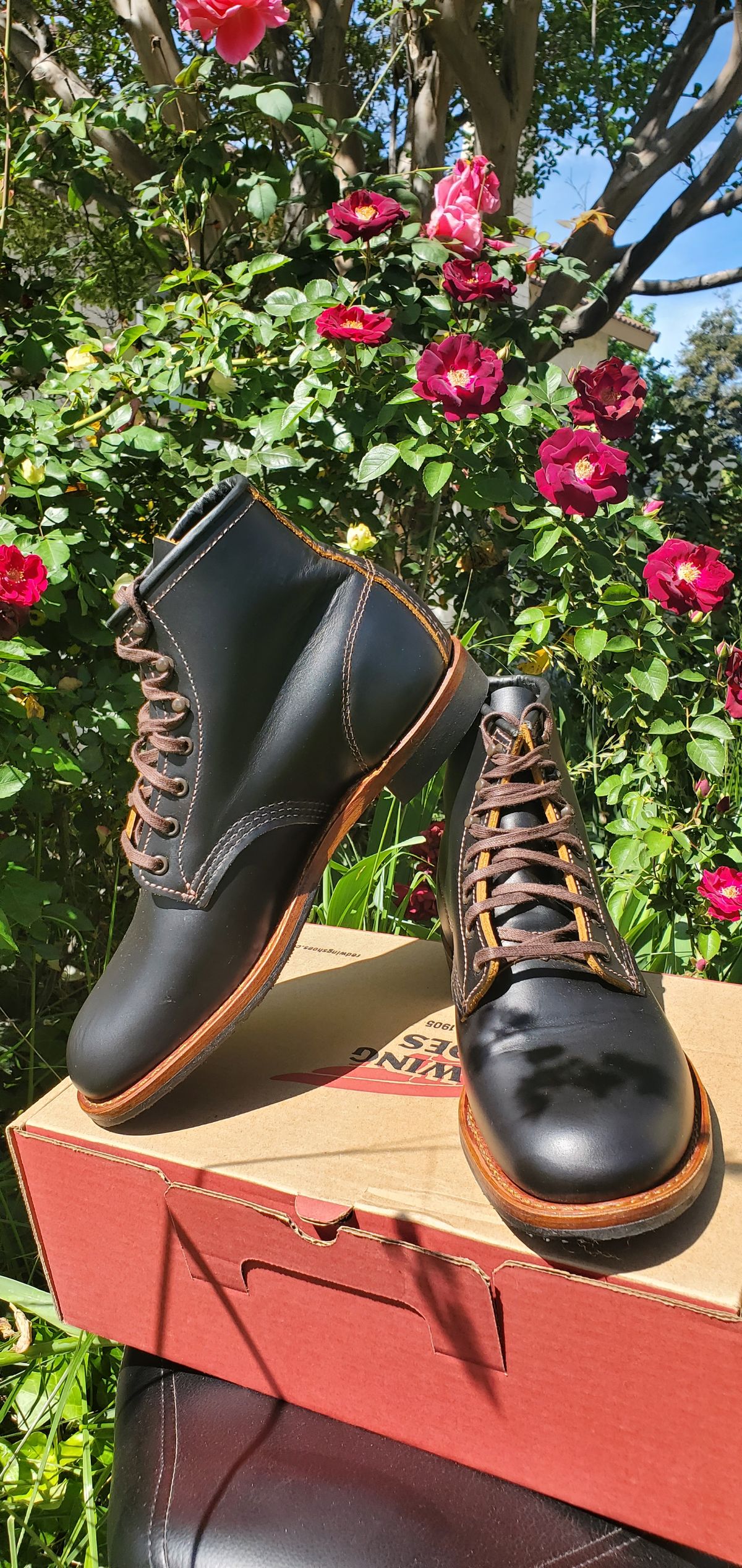 Photo by Jamesv on May 11, 2025 of the Red Wing Beckman Flatbox in S.B. Foot Black Klondike.