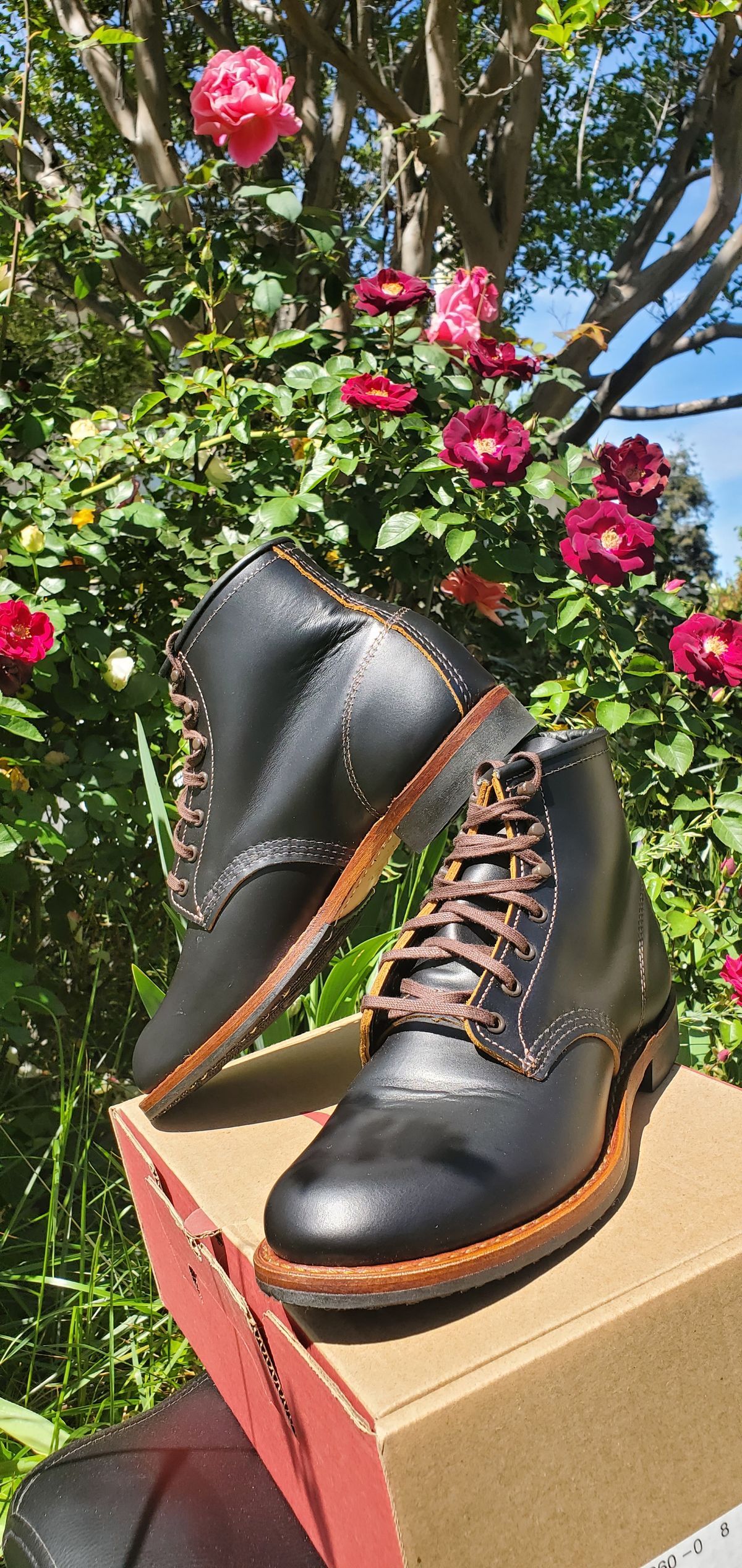 Photo by Jamesv on May 11, 2025 of the Red Wing Beckman Flatbox in S.B. Foot Black Klondike.
