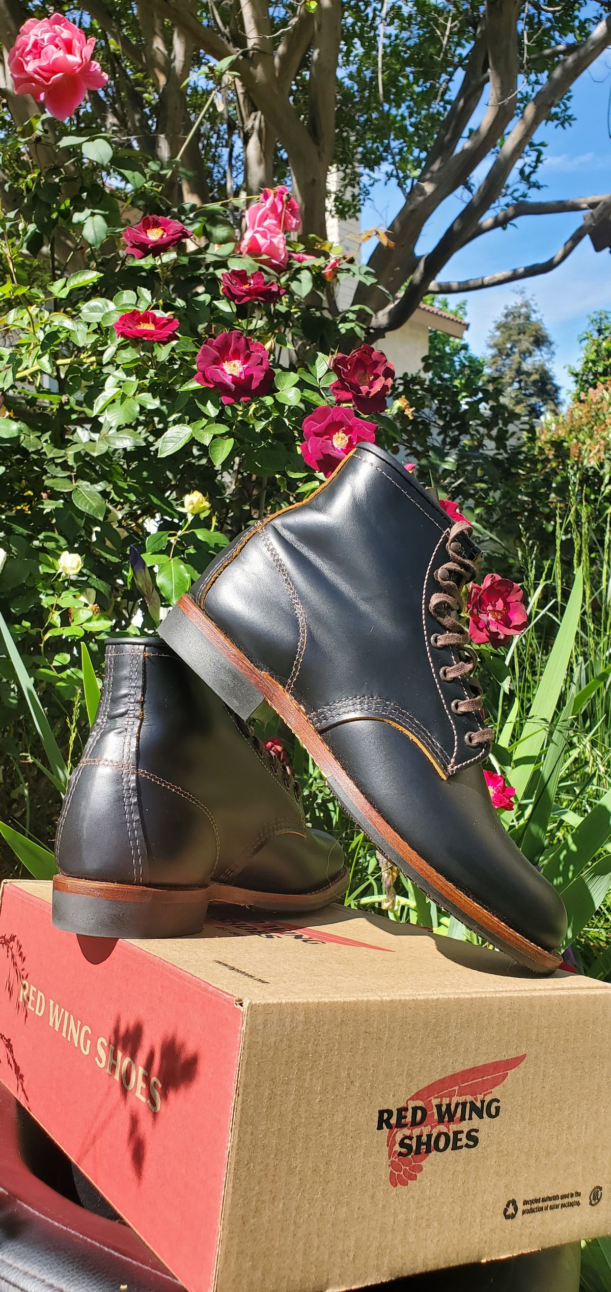 Photo by Jamesv on May 11, 2025 of the Red Wing Beckman Flatbox in S.B. Foot Black Klondike.