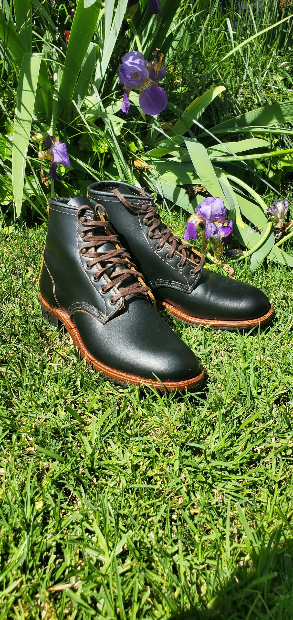 Photo by Jamesv on May 11, 2025 of the Red Wing Beckman Flatbox in S.B. Foot Black Klondike.