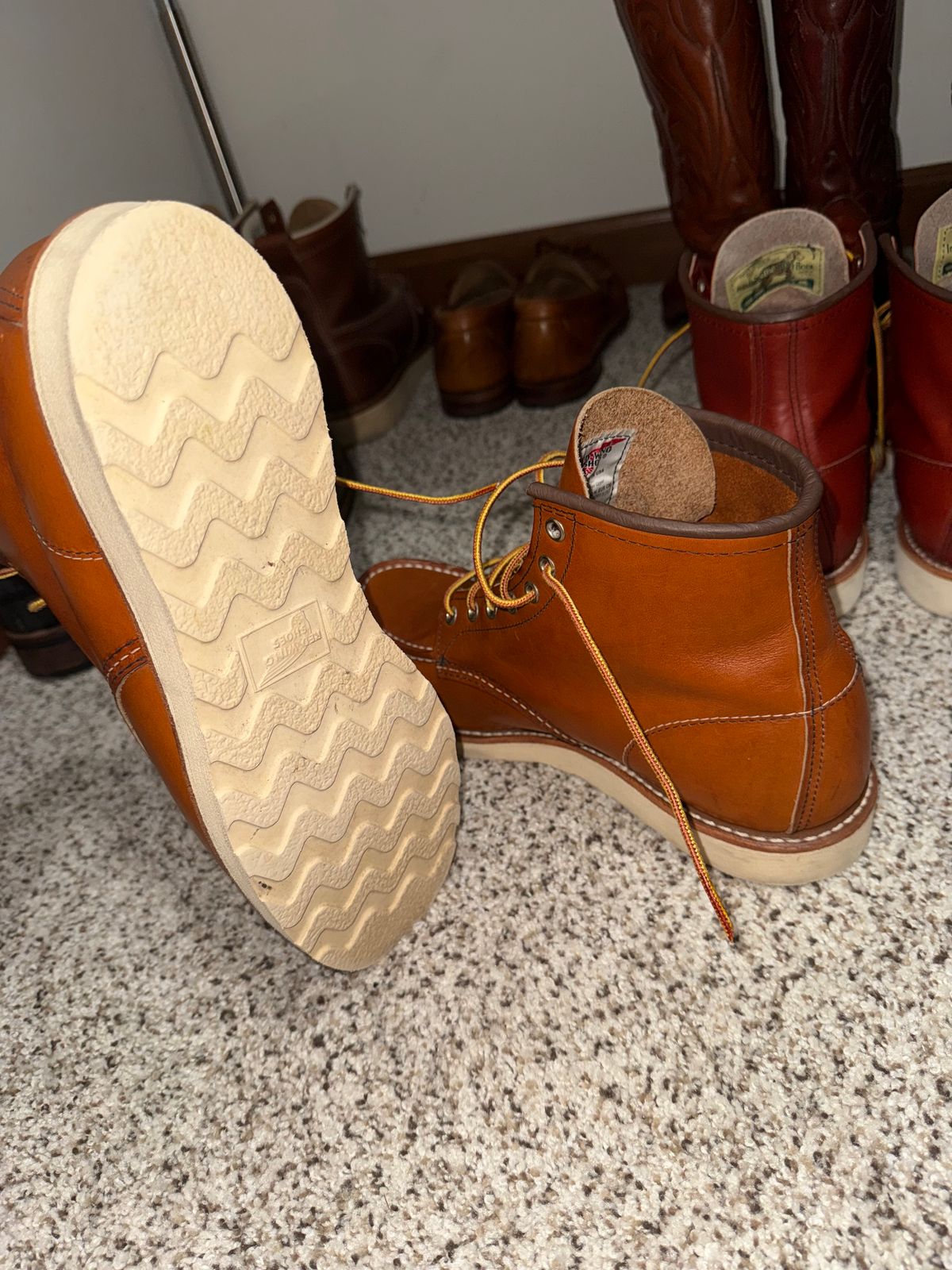 Photo by ty.302 on April 18, 2026 of the Red Wing 6-Inch Classic Moc in S.B. Foot Oro-Harness.