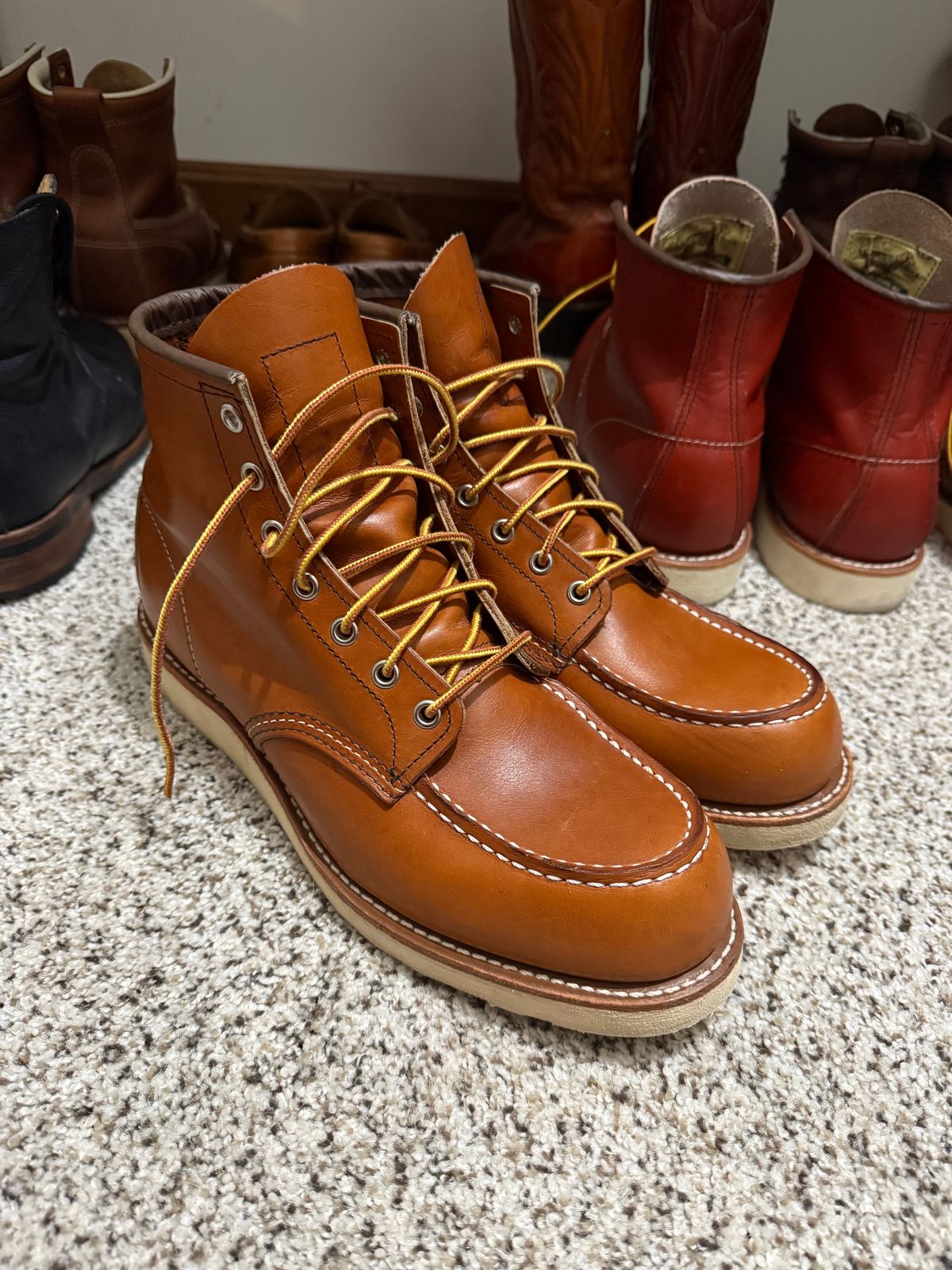 Photo by ty.302 on April 18, 2026 of the Red Wing 6-Inch Classic Moc in S.B. Foot Oro-Harness.