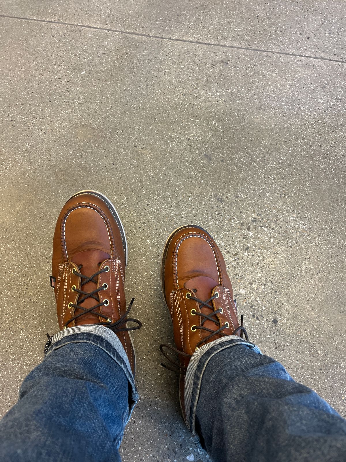 Photo by ineedmoreboots on September 24, 2025 of the Thorogood American Heritage 6" Moc Toe in Tobacco Gladiator Oil-Tanned.