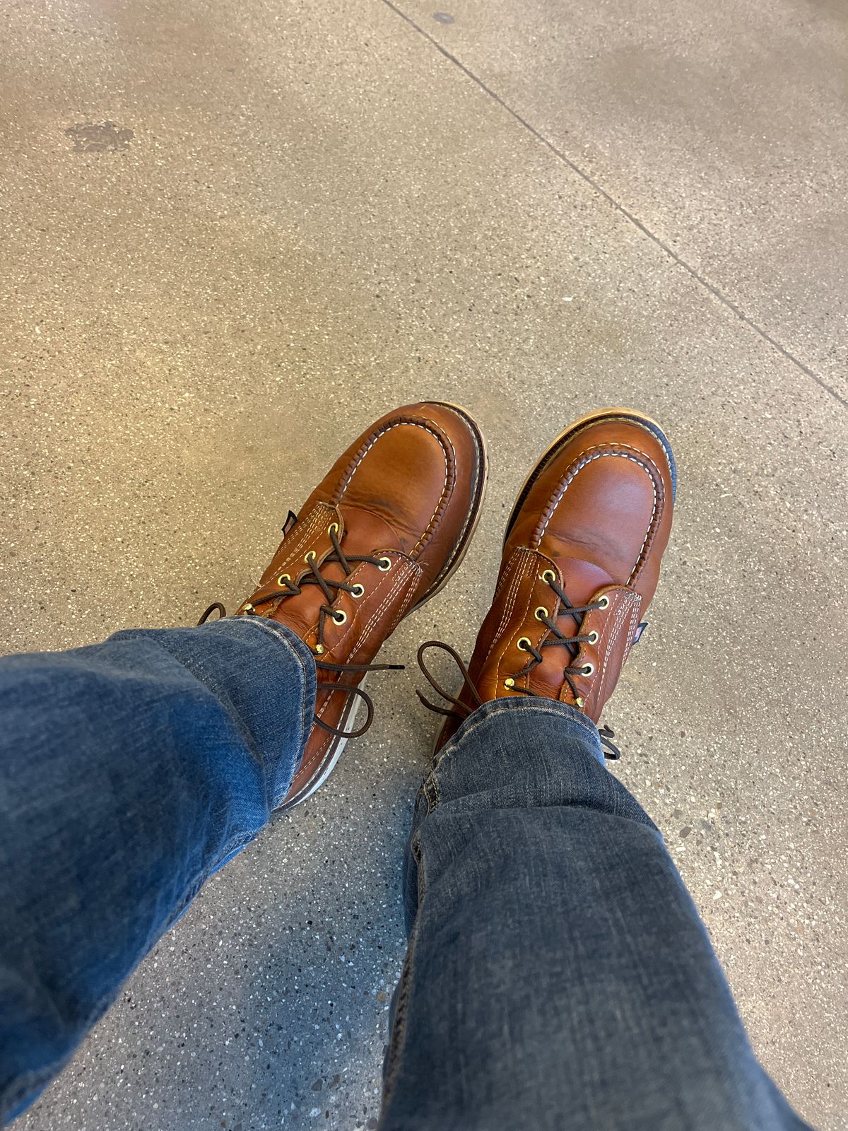 Photo by ineedmoreboots on October 23, 2025 of the Thorogood American Heritage 6" Moc Toe in Tobacco Gladiator Oil-Tanned.