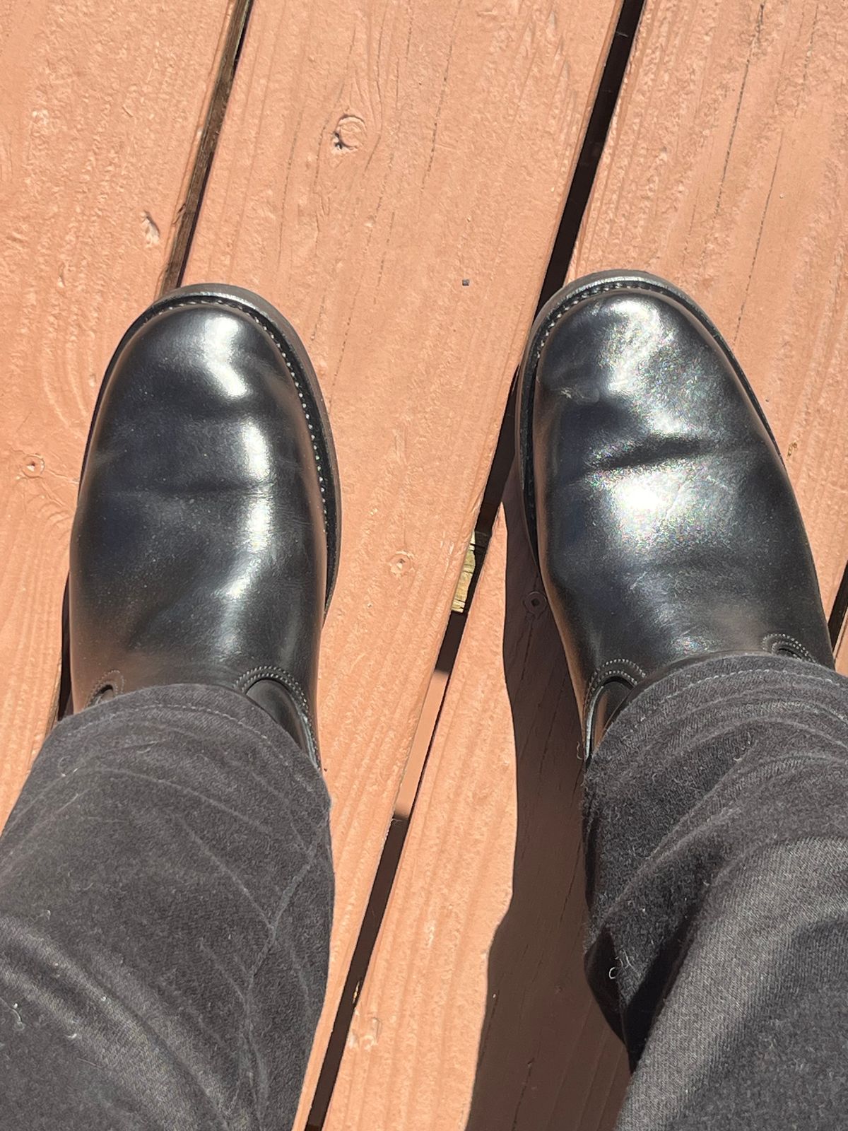 Photo by Gpittman9 on March 10, 2026 of the Attractions The Pioneer in Guidi Black Horsebutt.