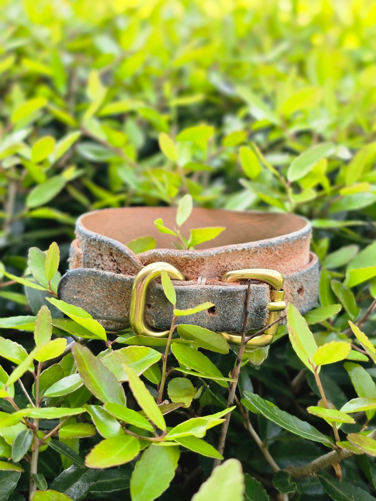 Photo by alanight on April 5, 2026 of the Harker Leatherworks Wristband in Natural Roughout Veg Tan.