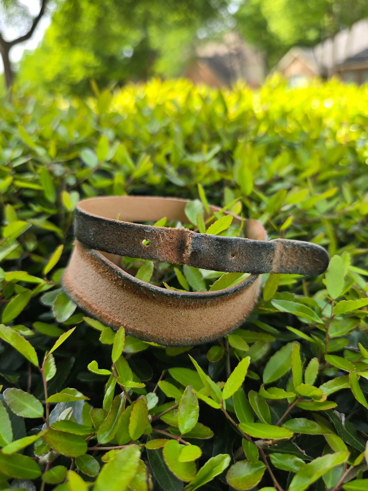 Photo by alanight on April 5, 2026 of the Harker Leatherworks Wristband in Natural Roughout Veg Tan.