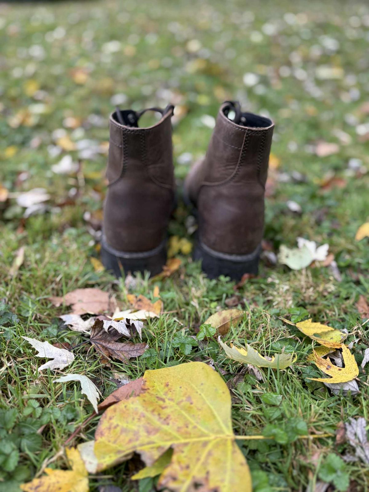 Photo by calljeef on November 4, 2025 of the Thursday Captain in Tobacco Rugged & Resilient.